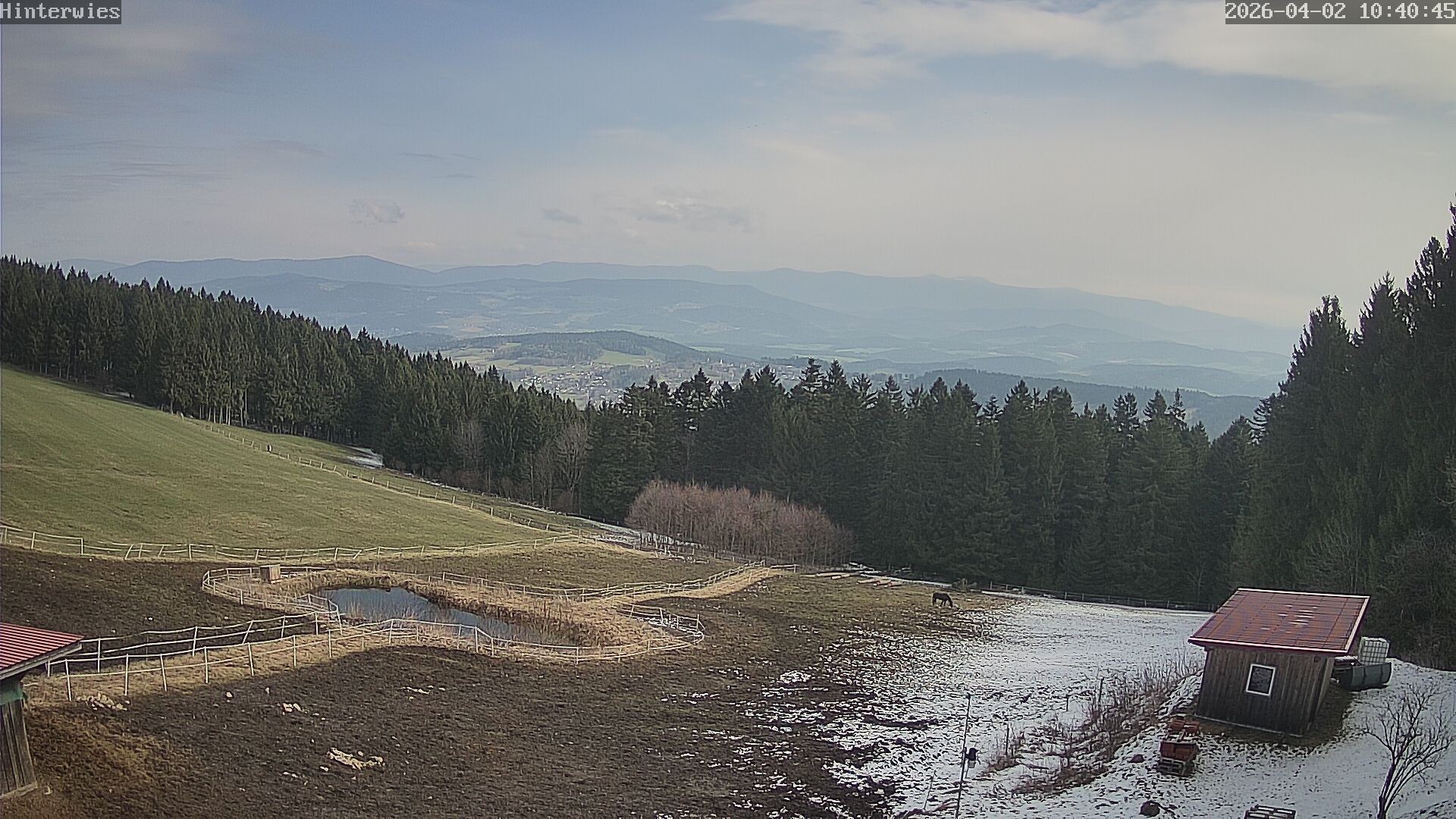 Archiv Foto Webcam Wetterstation Sankt Englmar-Hinterwies