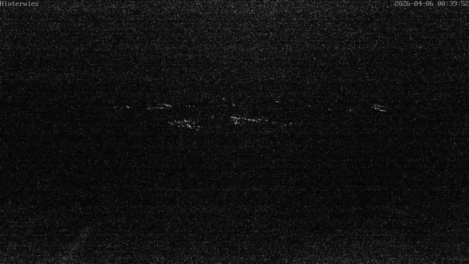 Archived image Webcam Weather Station St. Englmar-Hinterwies