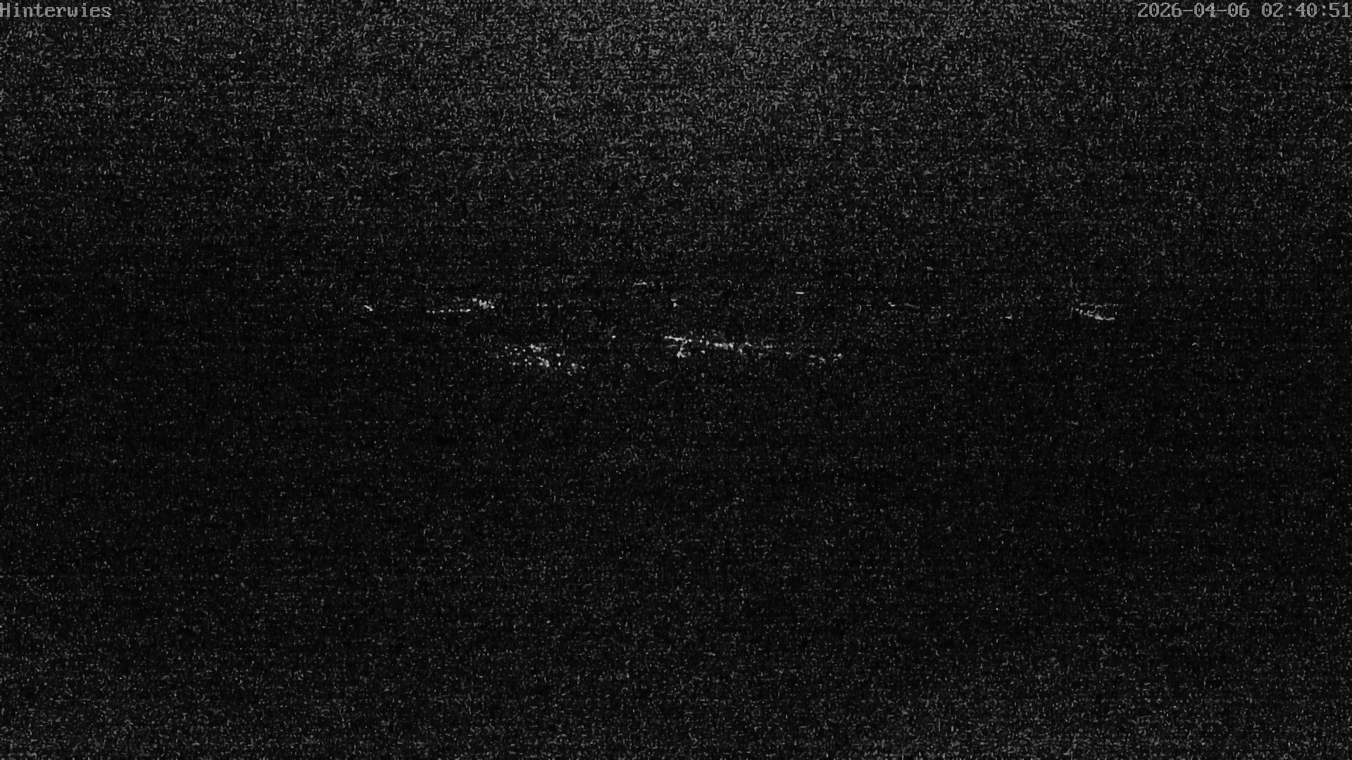 Archived image Webcam Weather Station St. Englmar-Hinterwies