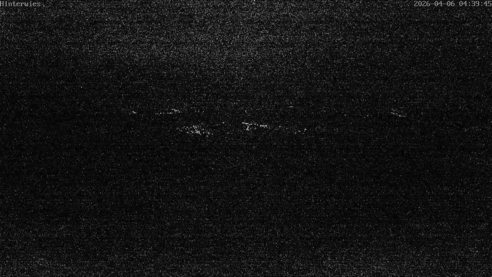 Archived image Webcam Weather Station St. Englmar-Hinterwies