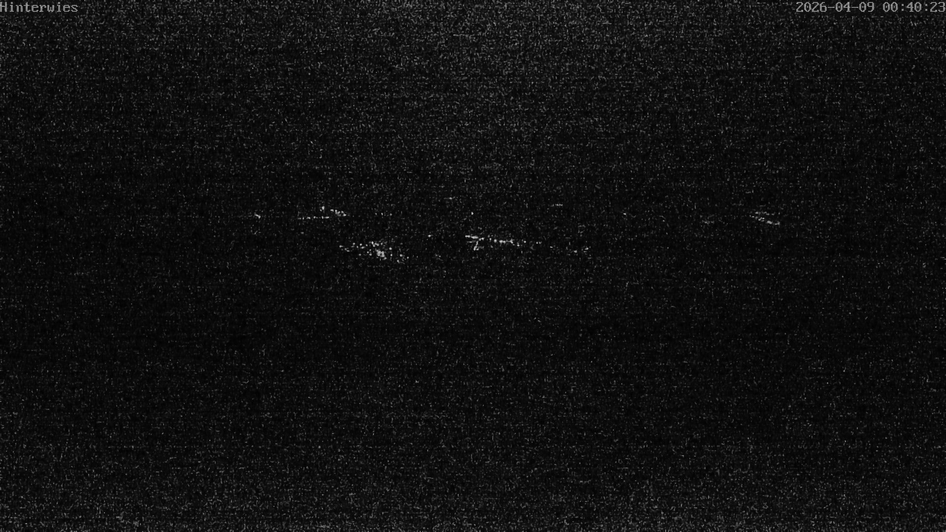 Archiv Foto Webcam Wetterstation Sankt Englmar-Hinterwies