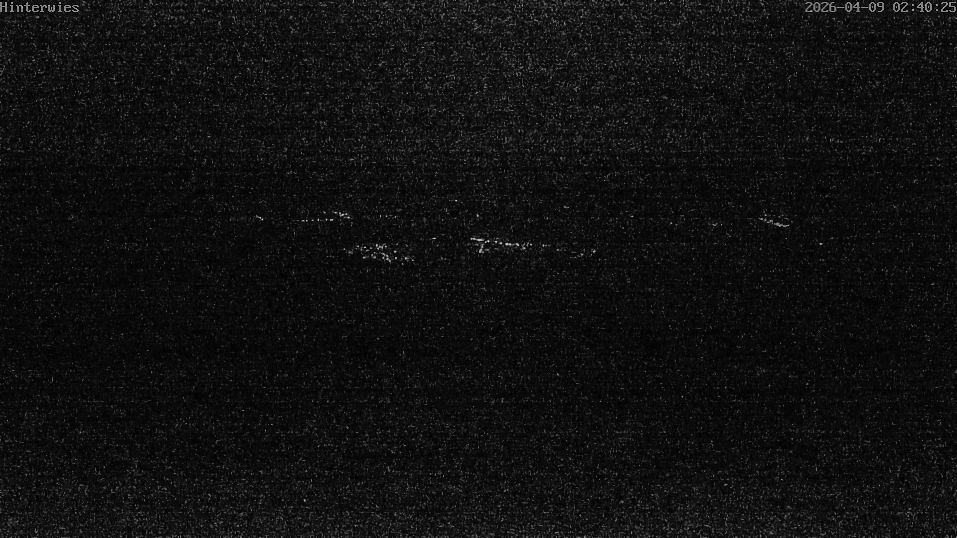 Archiv Foto Webcam Wetterstation Sankt Englmar-Hinterwies