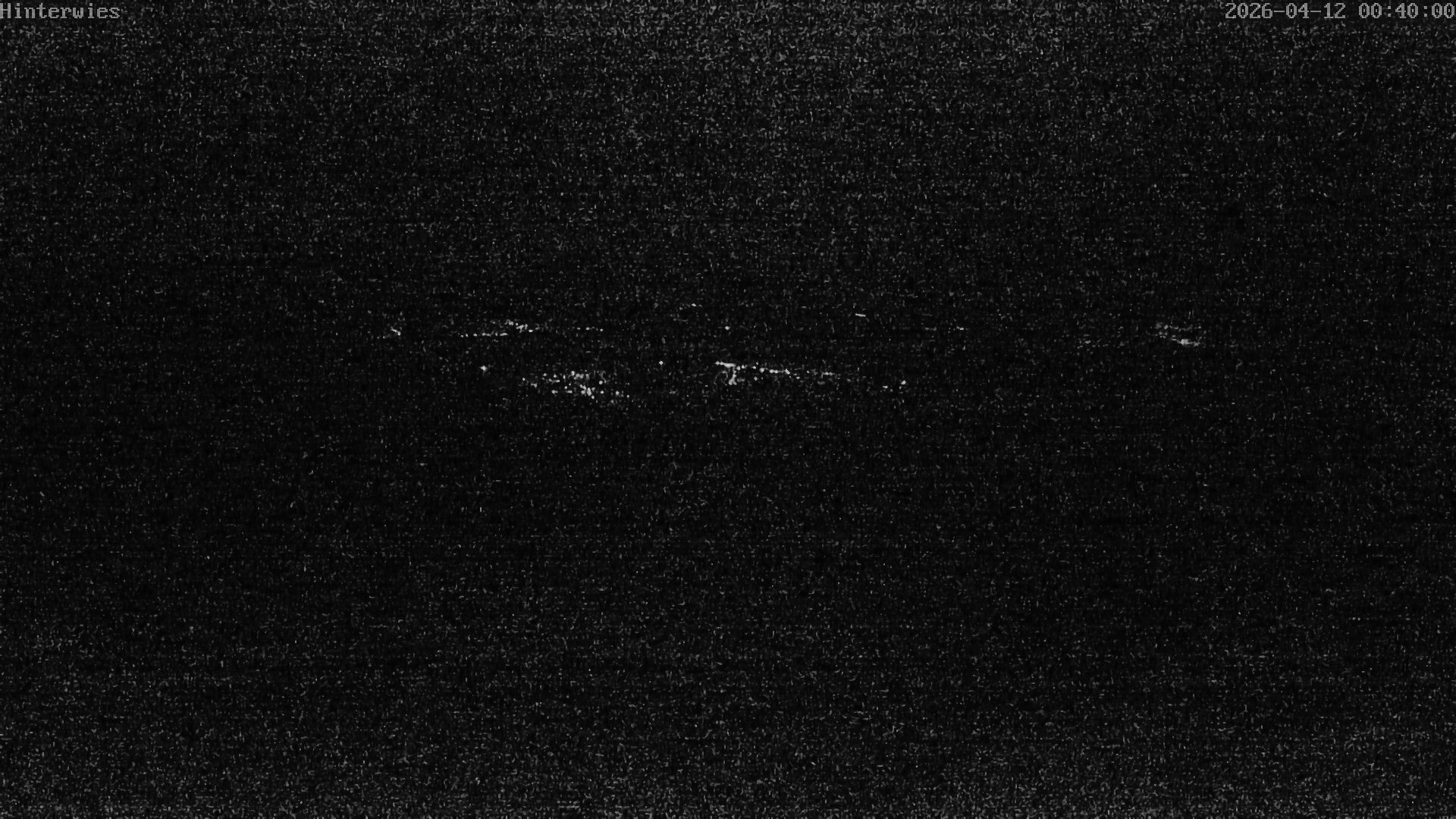 Archiv Foto Webcam Wetterstation Sankt Englmar-Hinterwies