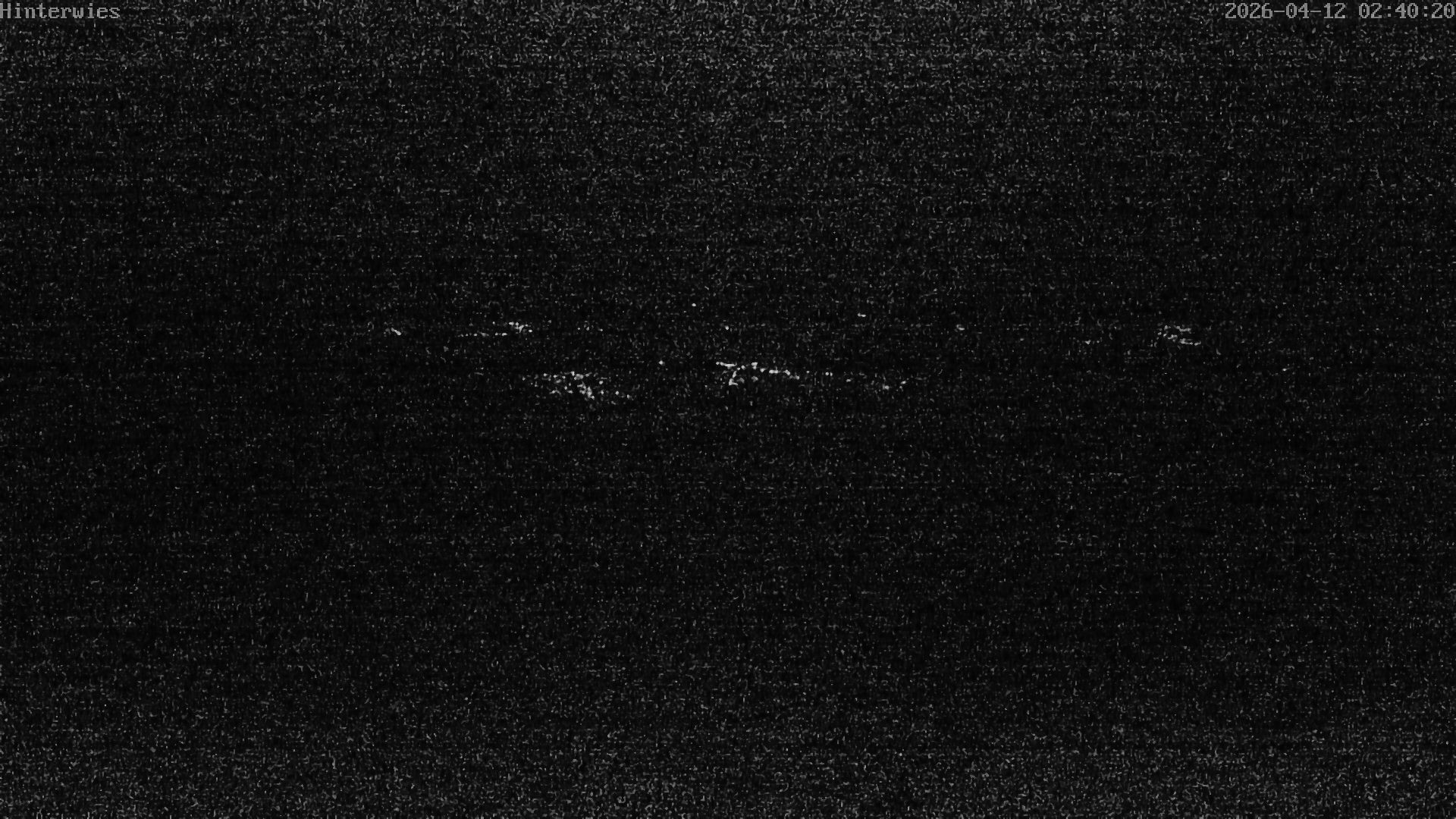 Archiv Foto Webcam Wetterstation Sankt Englmar-Hinterwies