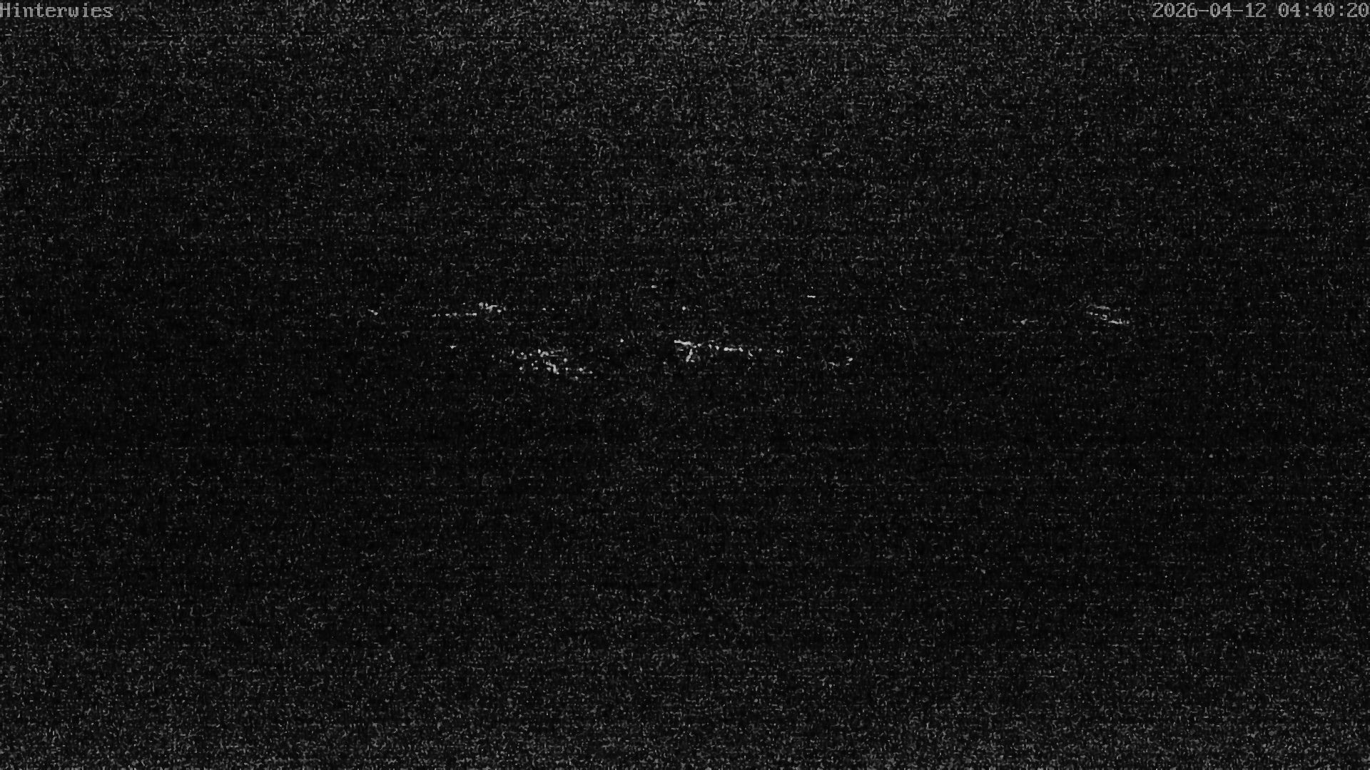 Archiv Foto Webcam Wetterstation Sankt Englmar-Hinterwies