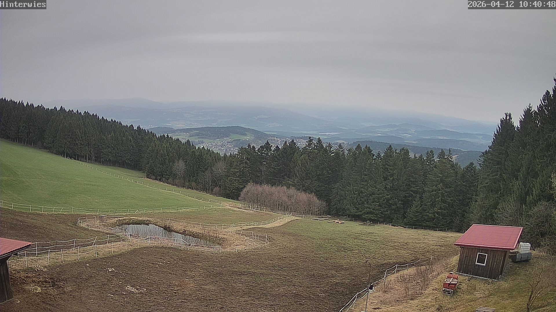 Archiv Foto Webcam Wetterstation Sankt Englmar-Hinterwies