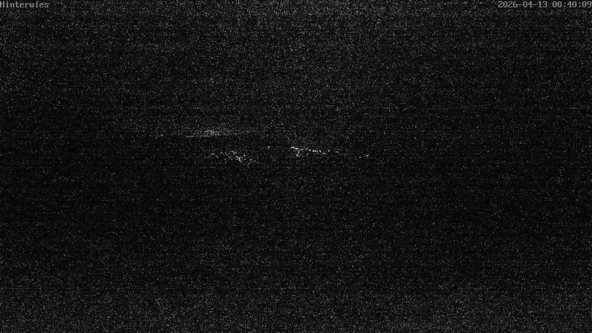 Archived image Webcam Weather Station St. Englmar-Hinterwies