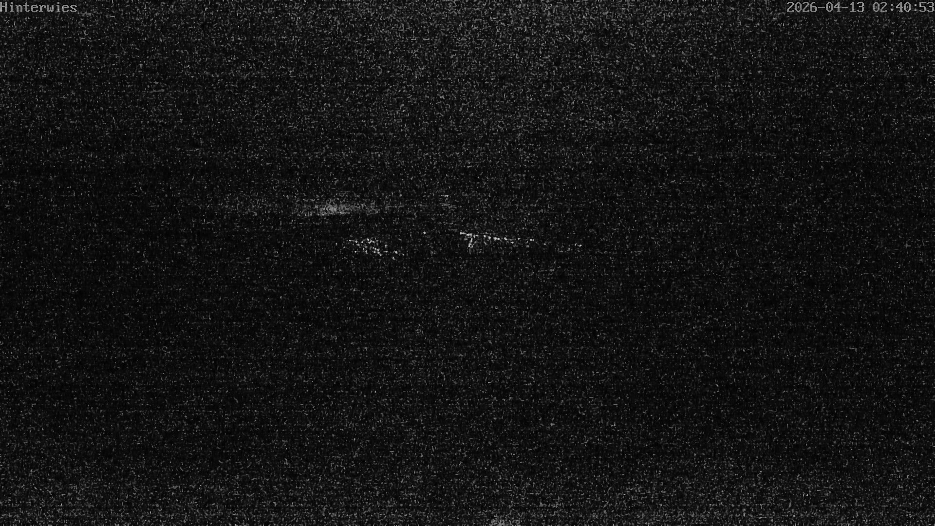 Archived image Webcam Weather Station St. Englmar-Hinterwies