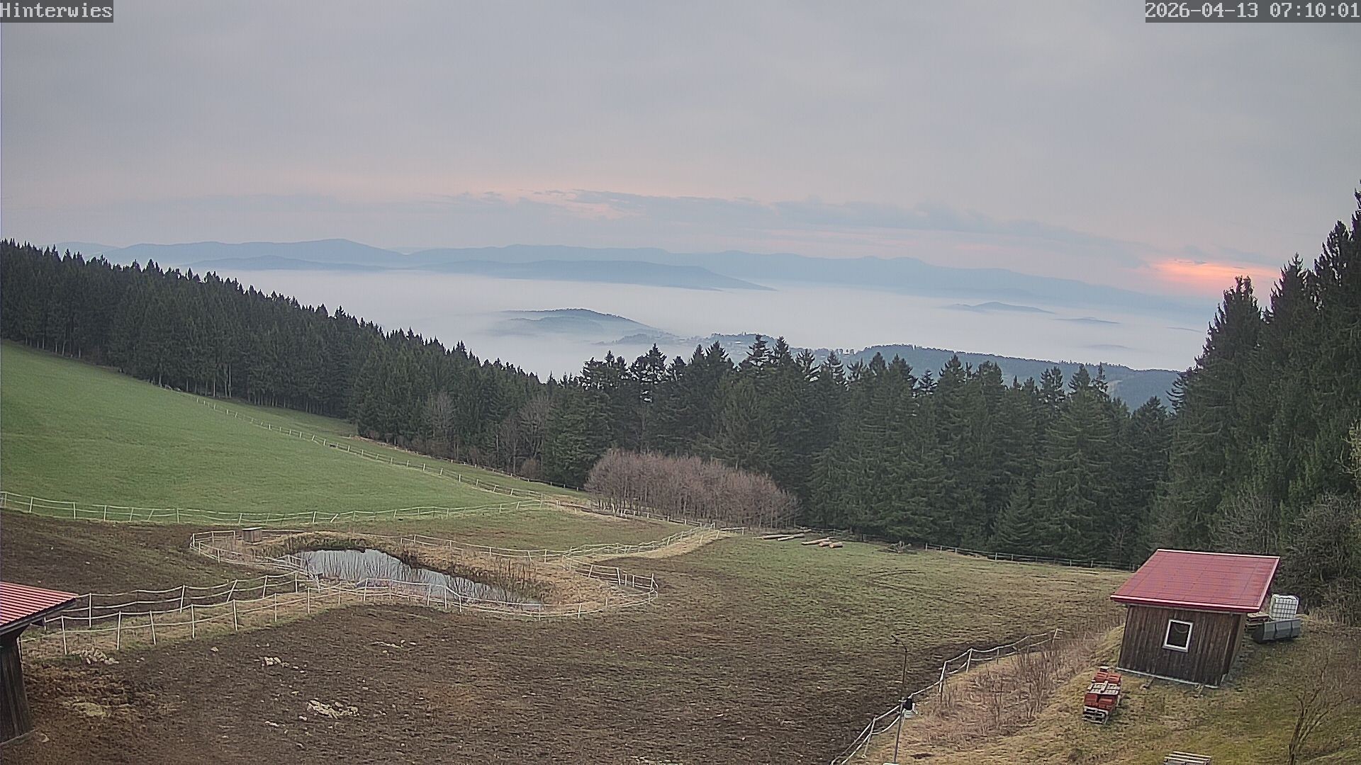 Archived image Webcam Weather Station St. Englmar-Hinterwies