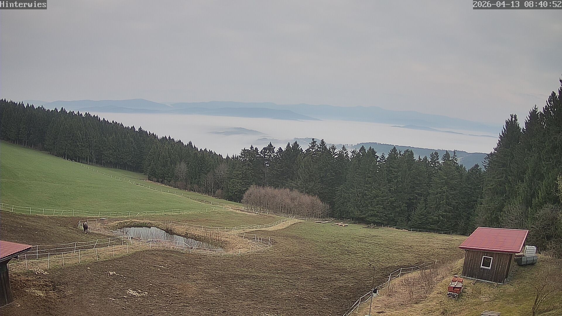 Archived image Webcam Weather Station St. Englmar-Hinterwies