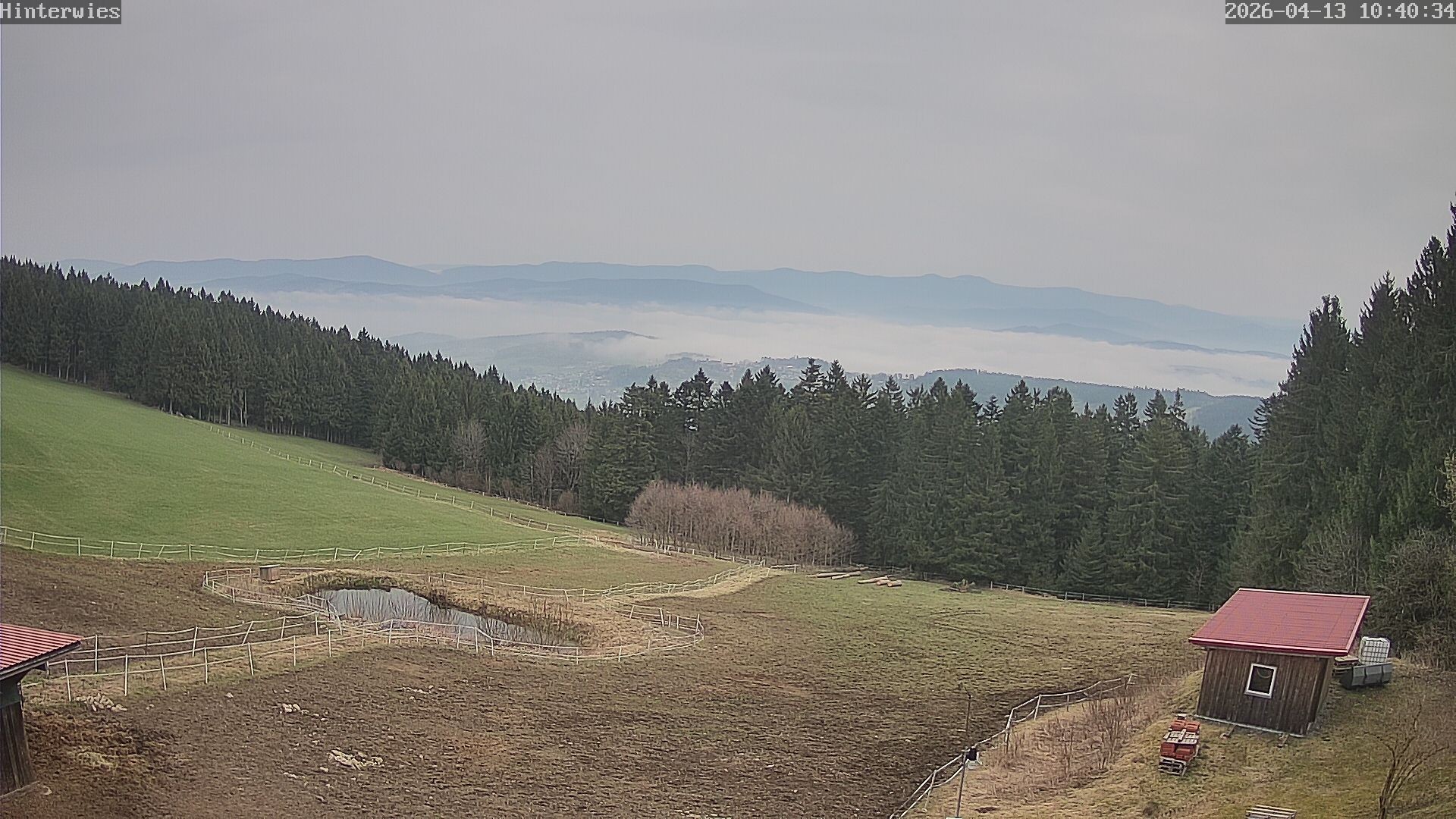 Archiv Foto Webcam Wetterstation Sankt Englmar-Hinterwies
