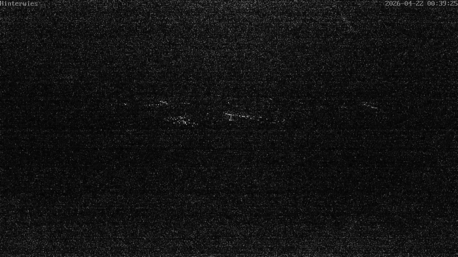 Archiv Foto Webcam Wetterstation Sankt Englmar-Hinterwies