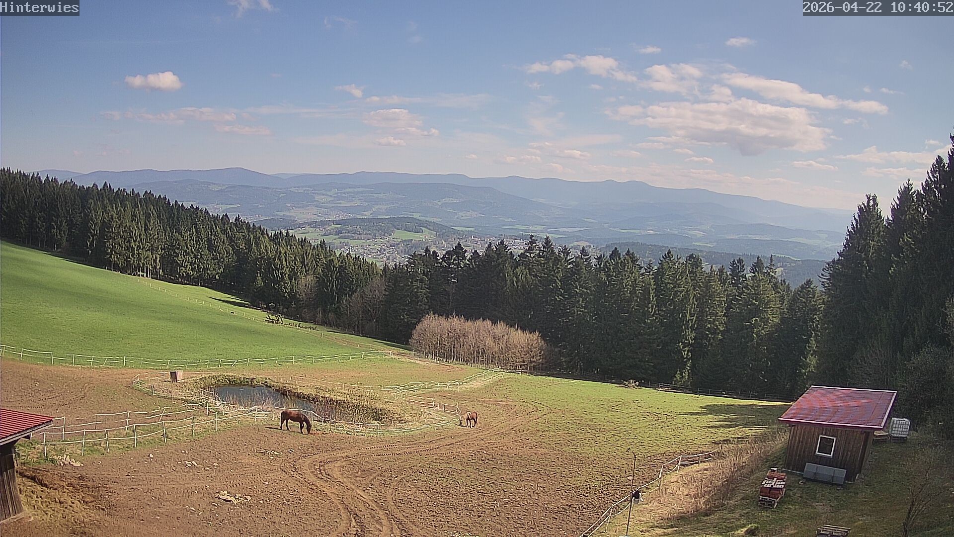 Archiv Foto Webcam Wetterstation Sankt Englmar-Hinterwies