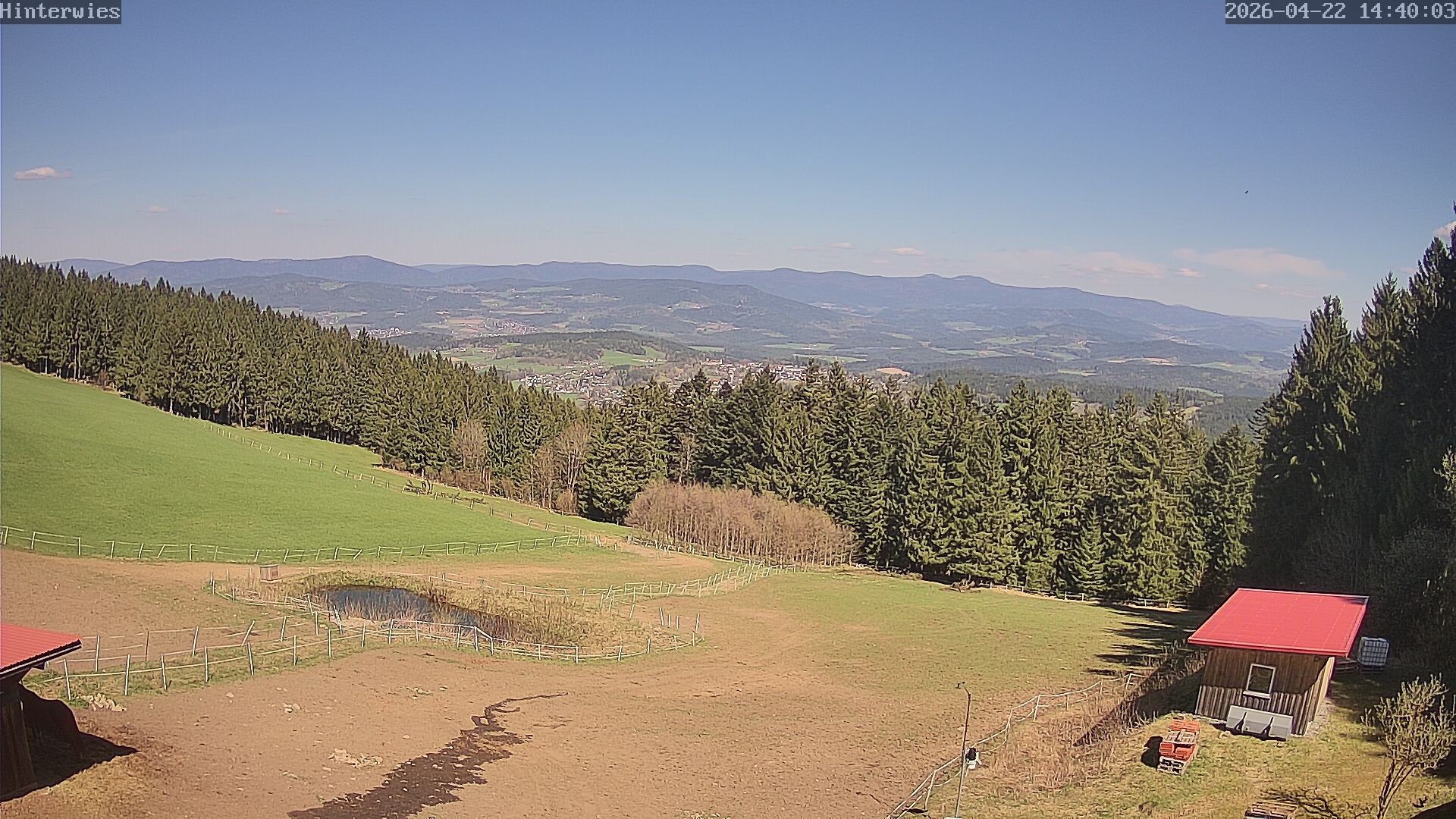 Archiv Foto Webcam Wetterstation Sankt Englmar-Hinterwies
