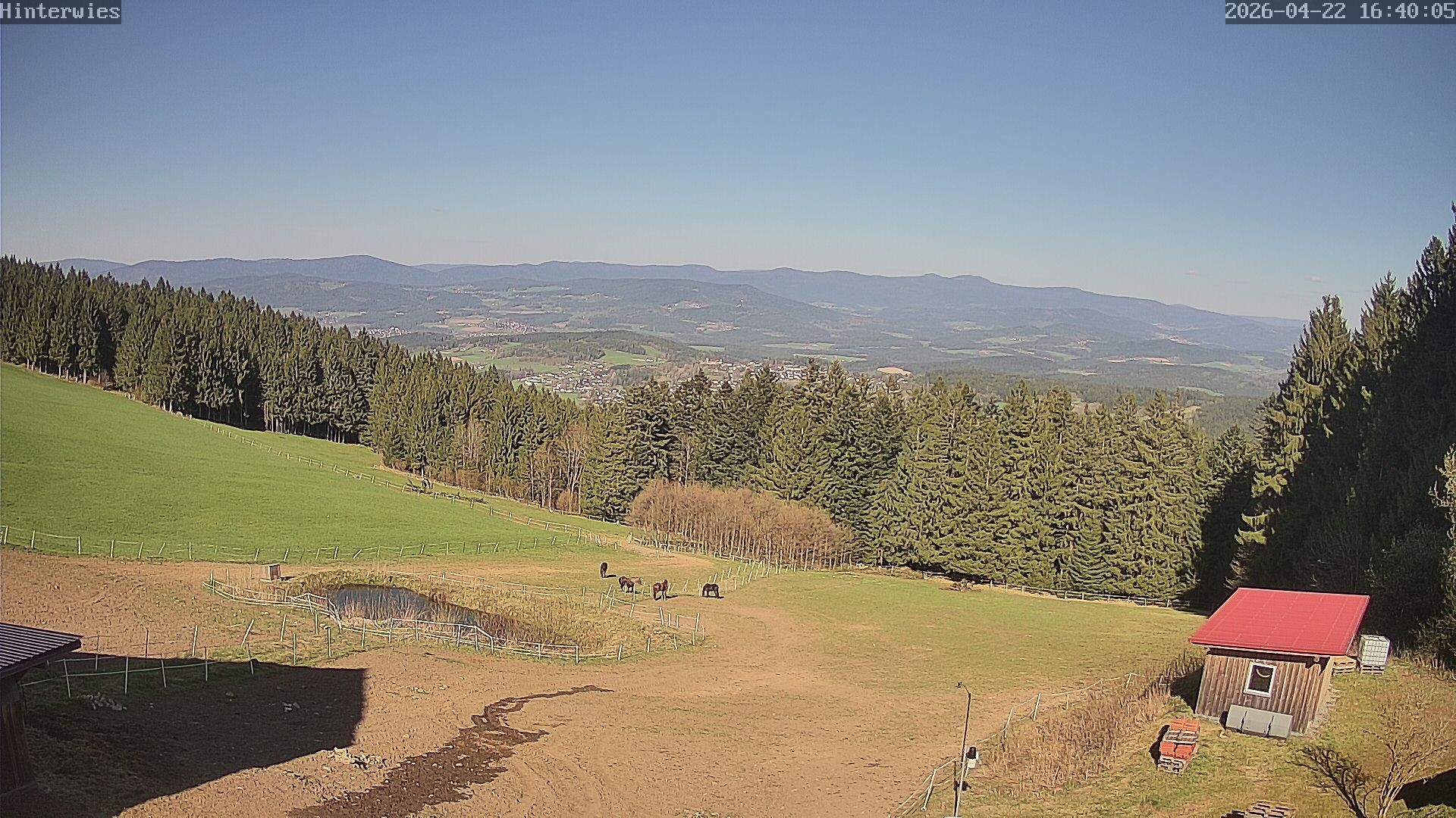 Archiv Foto Webcam Wetterstation Sankt Englmar-Hinterwies