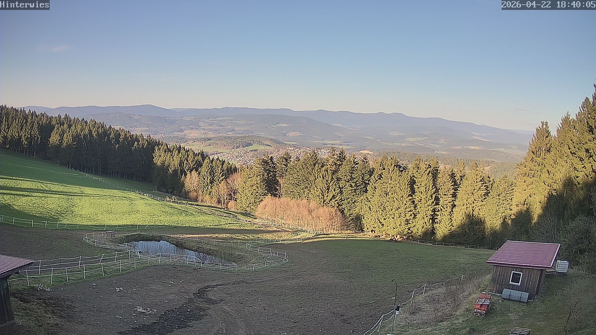 Archiv Foto Webcam Wetterstation Sankt Englmar-Hinterwies