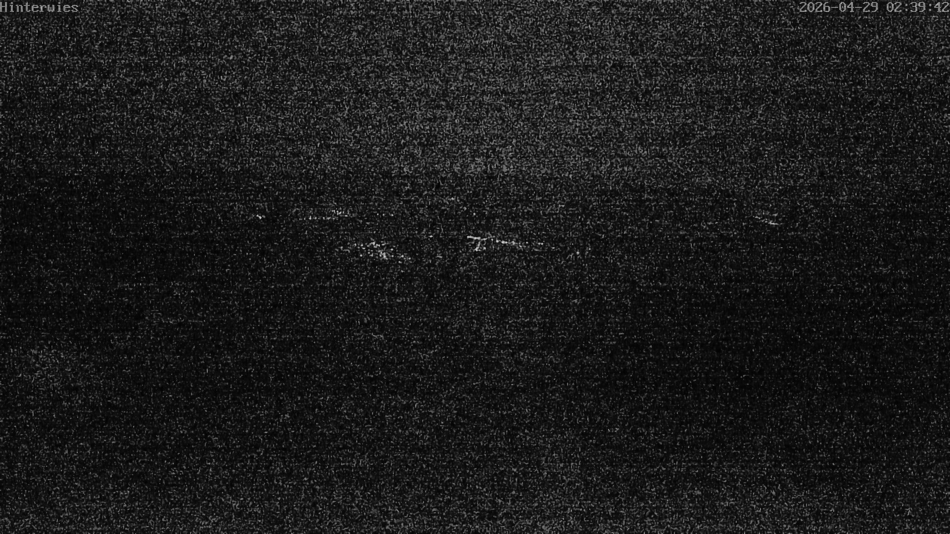 Archiv Foto Webcam Wetterstation Sankt Englmar-Hinterwies