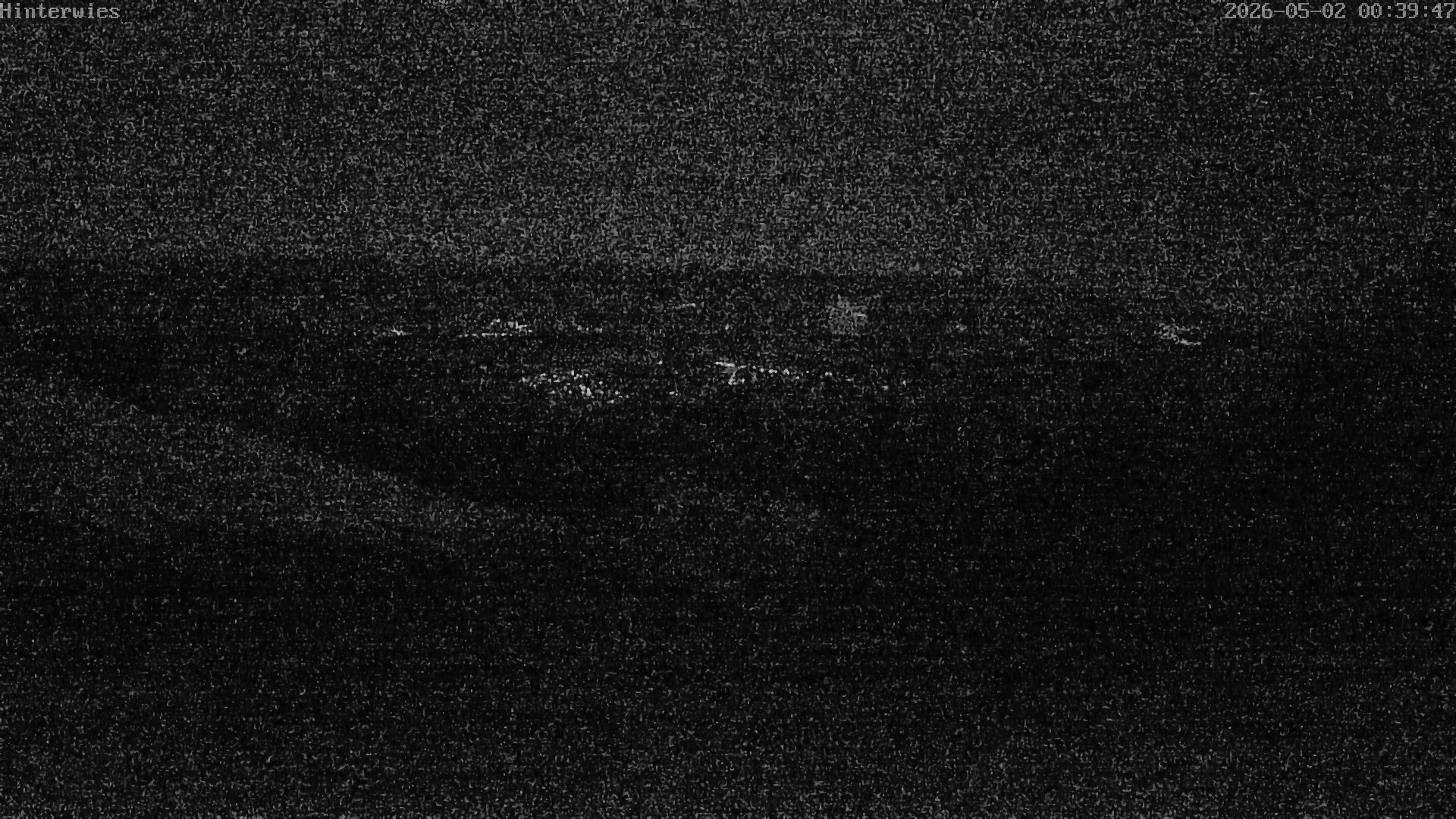 Archived image Webcam Weather Station St. Englmar-Hinterwies