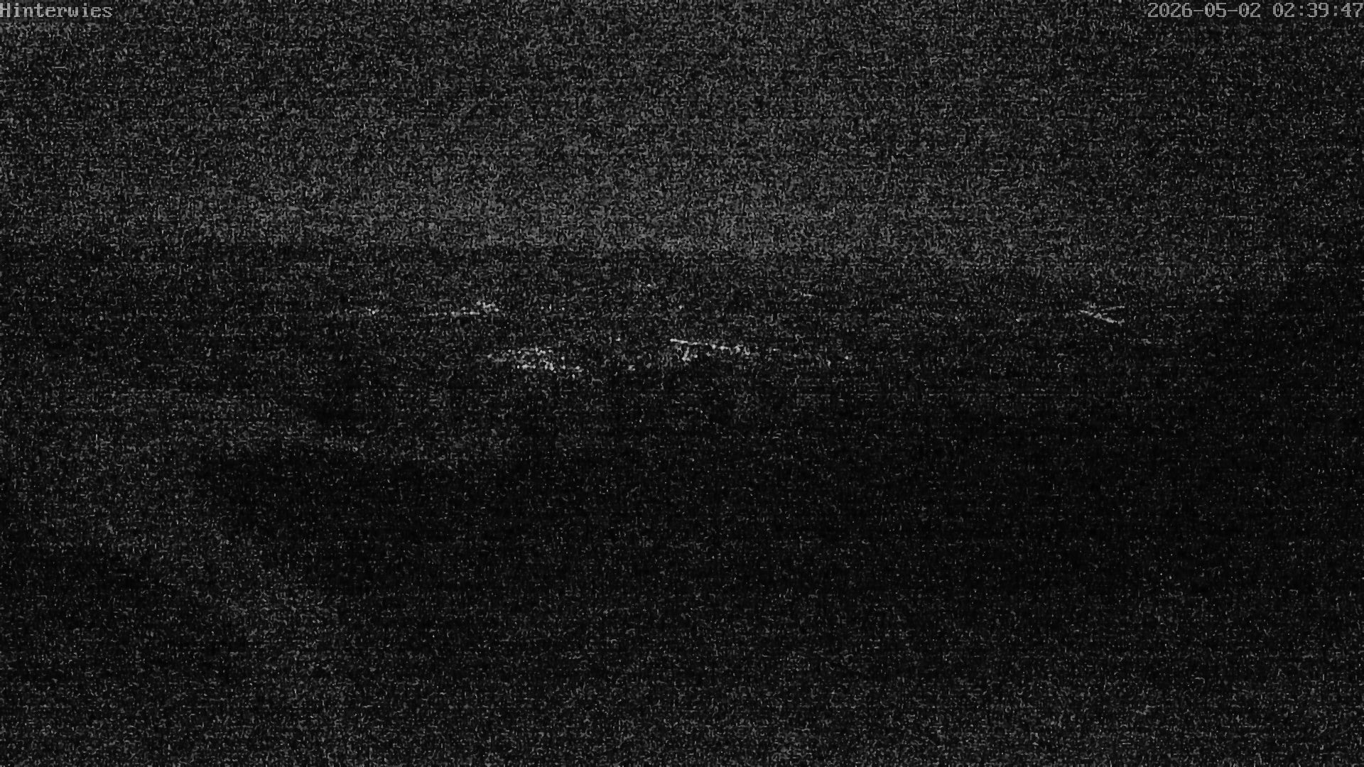 Archived image Webcam Weather Station St. Englmar-Hinterwies