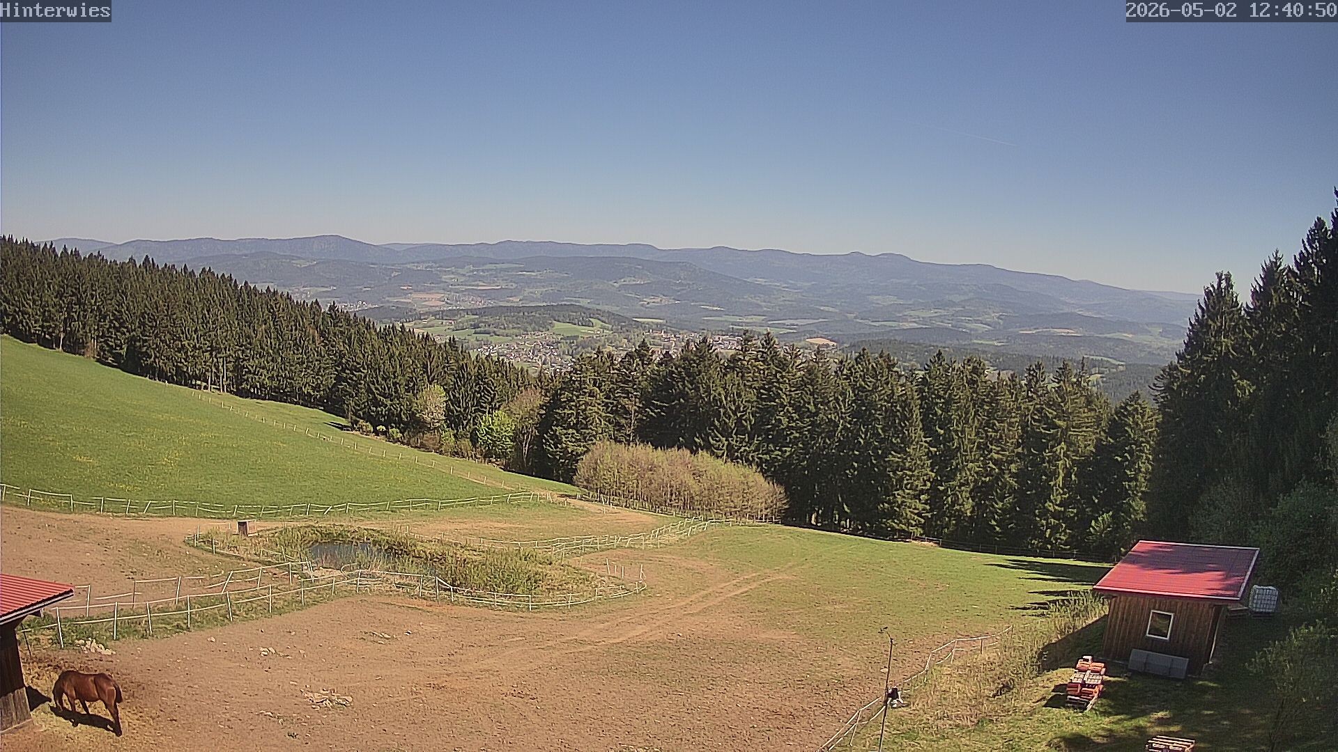 Archived image Webcam Weather Station St. Englmar-Hinterwies