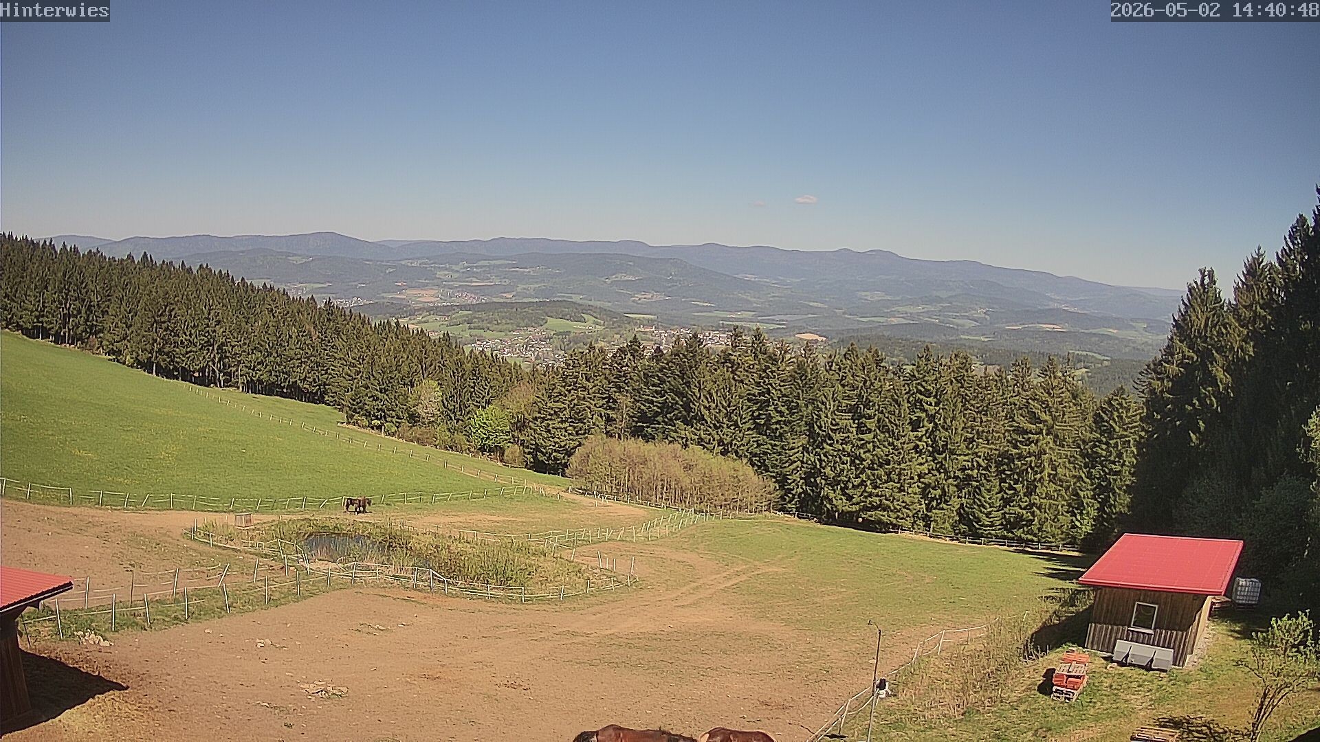 Archived image Webcam Weather Station St. Englmar-Hinterwies