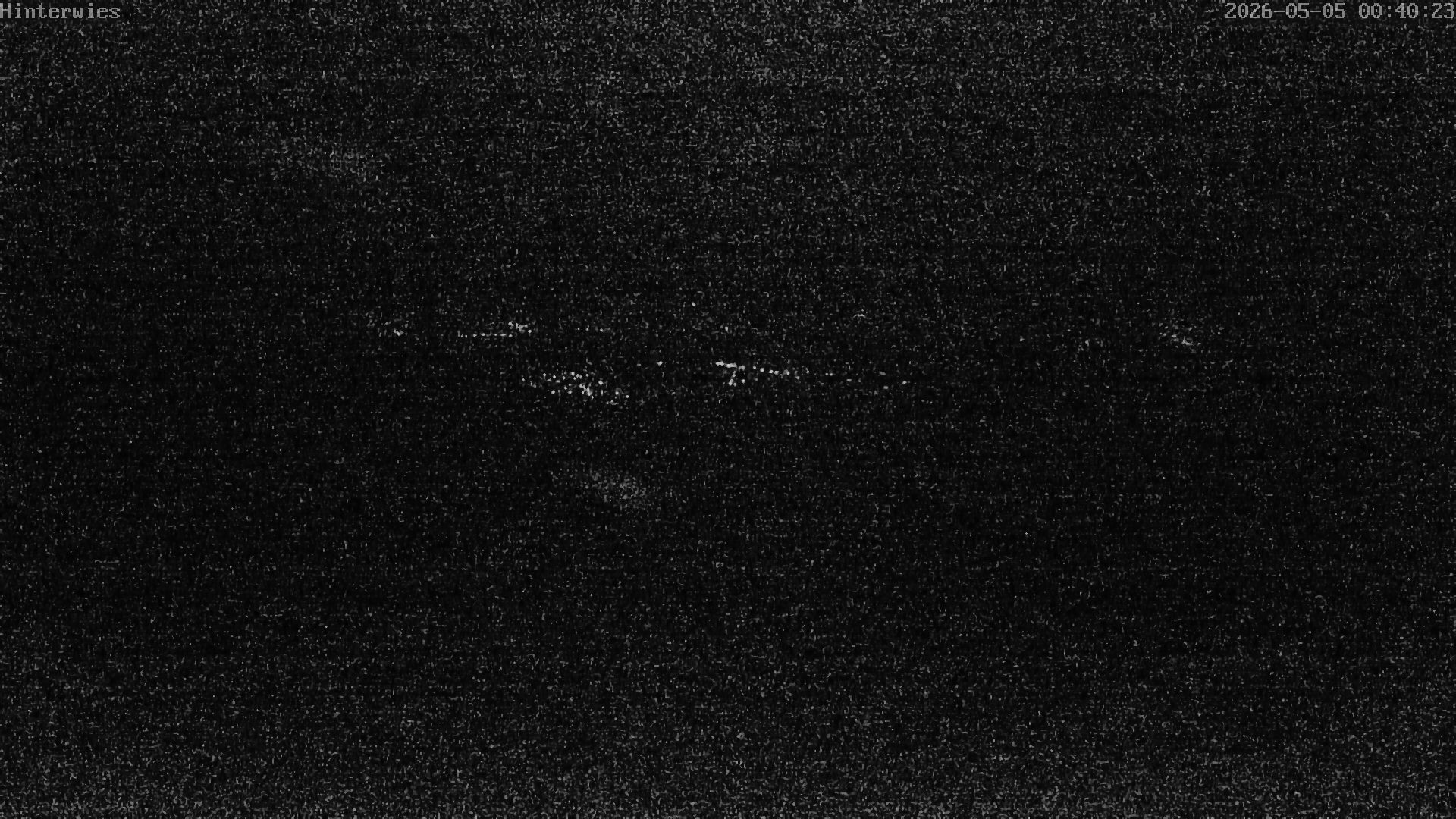 Archived image Webcam Weather Station St. Englmar-Hinterwies