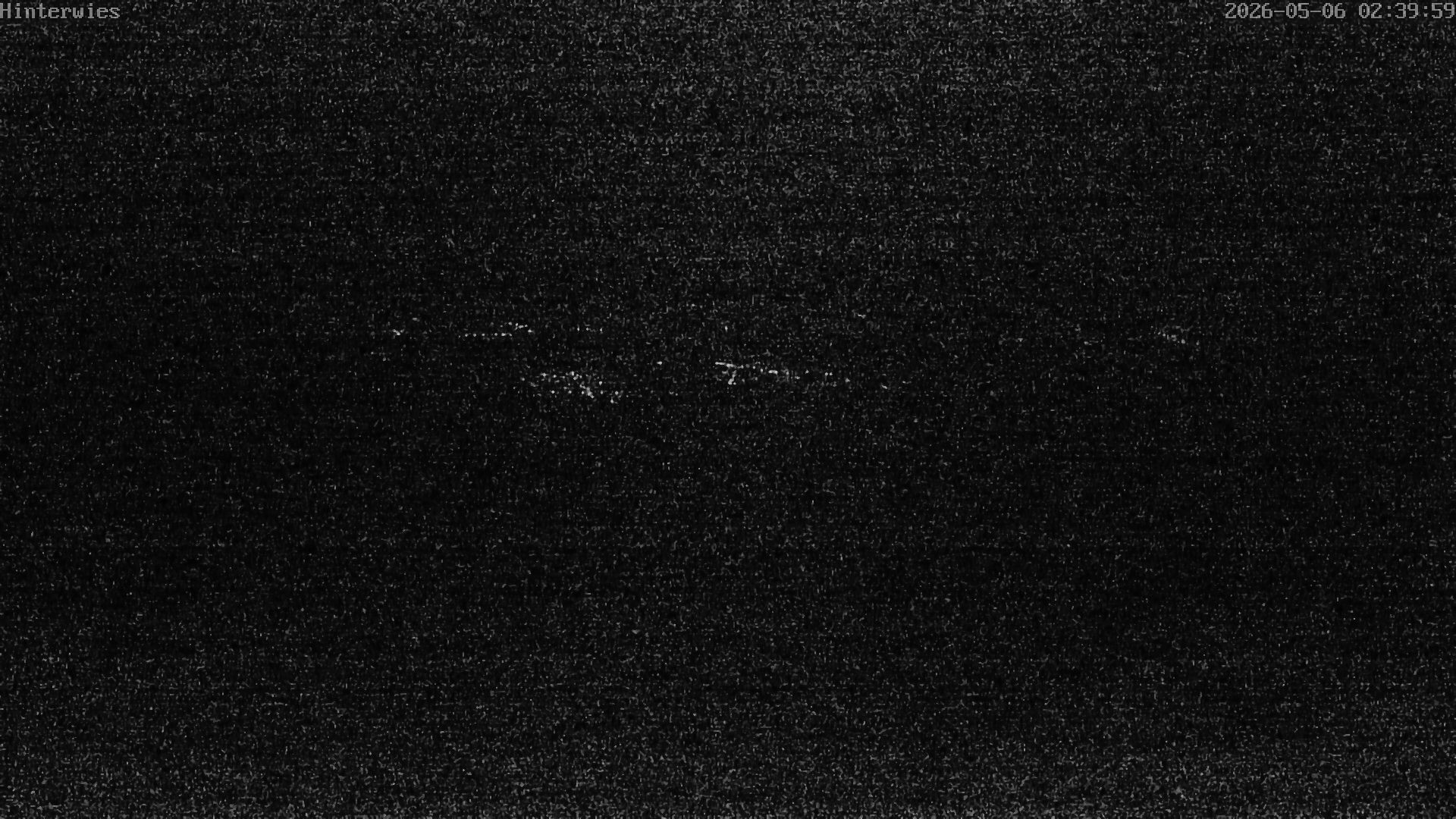 Archiv Foto Webcam Wetterstation Sankt Englmar-Hinterwies
