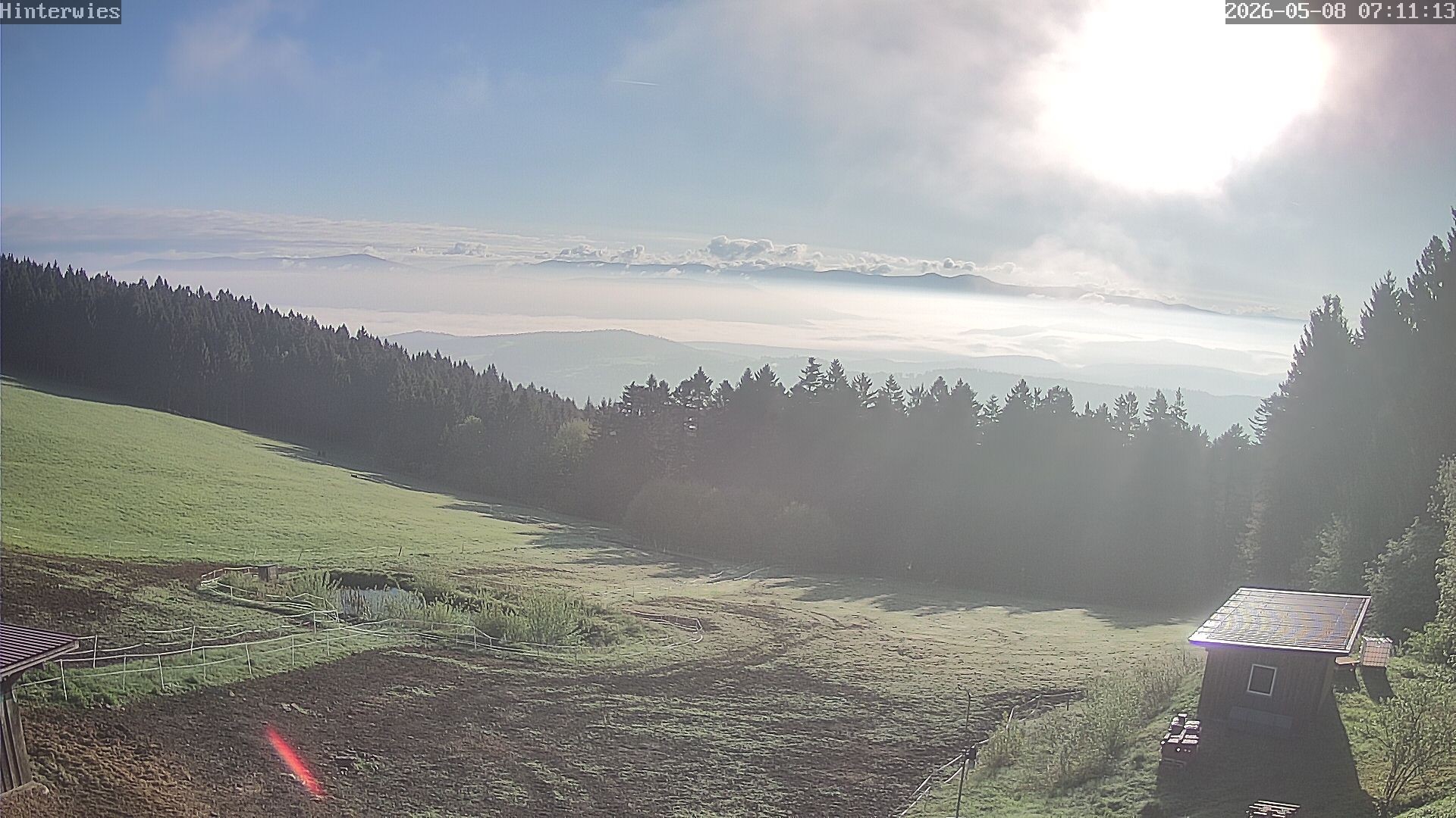 Archiv Foto Webcam Wetterstation Sankt Englmar-Hinterwies