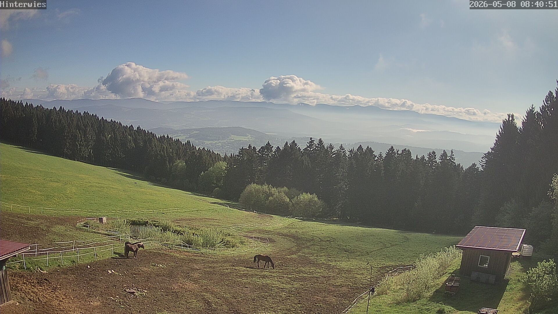 Archiv Foto Webcam Wetterstation Sankt Englmar-Hinterwies