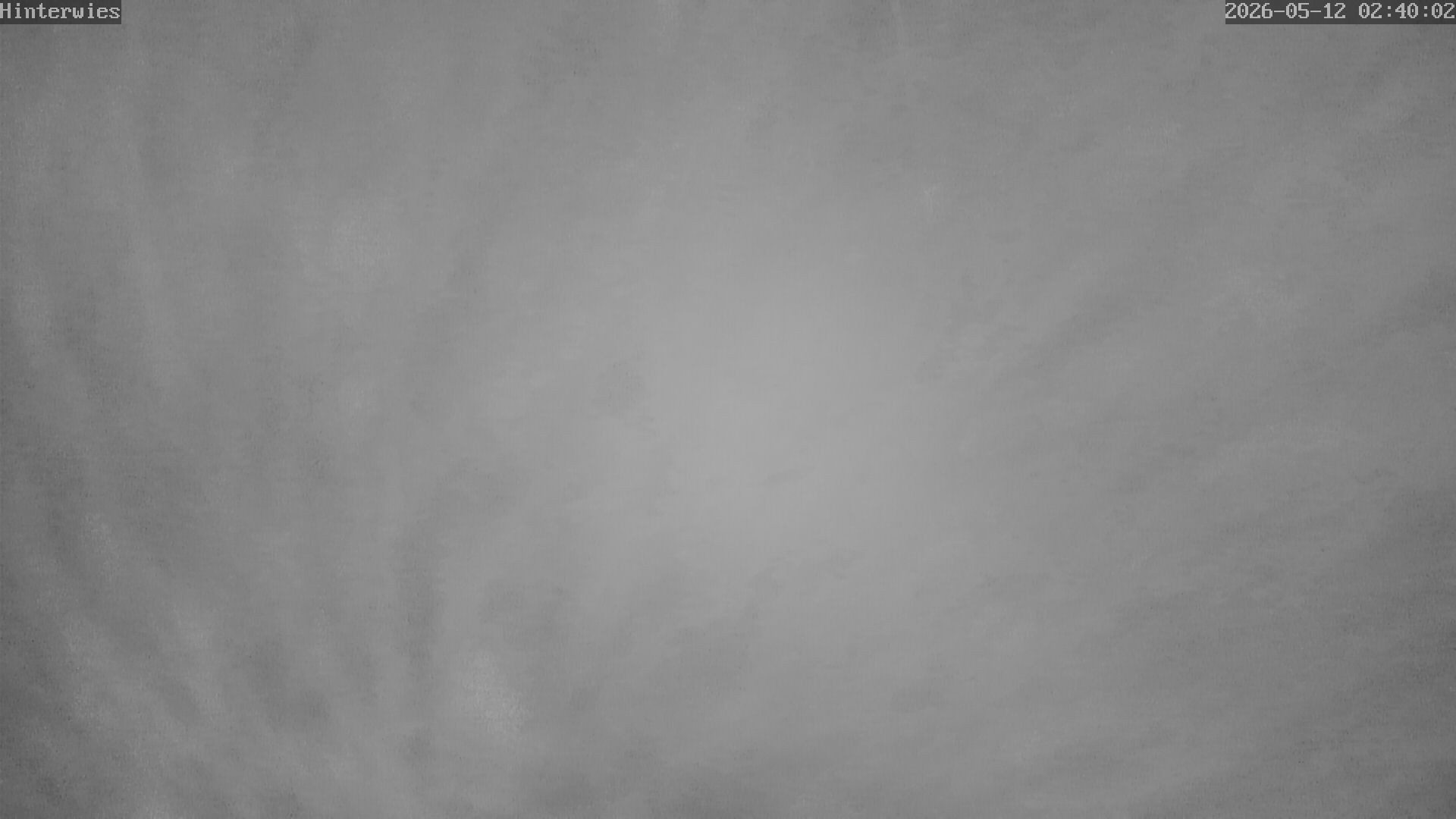 Archiv Foto Webcam Wetterstation Sankt Englmar-Hinterwies