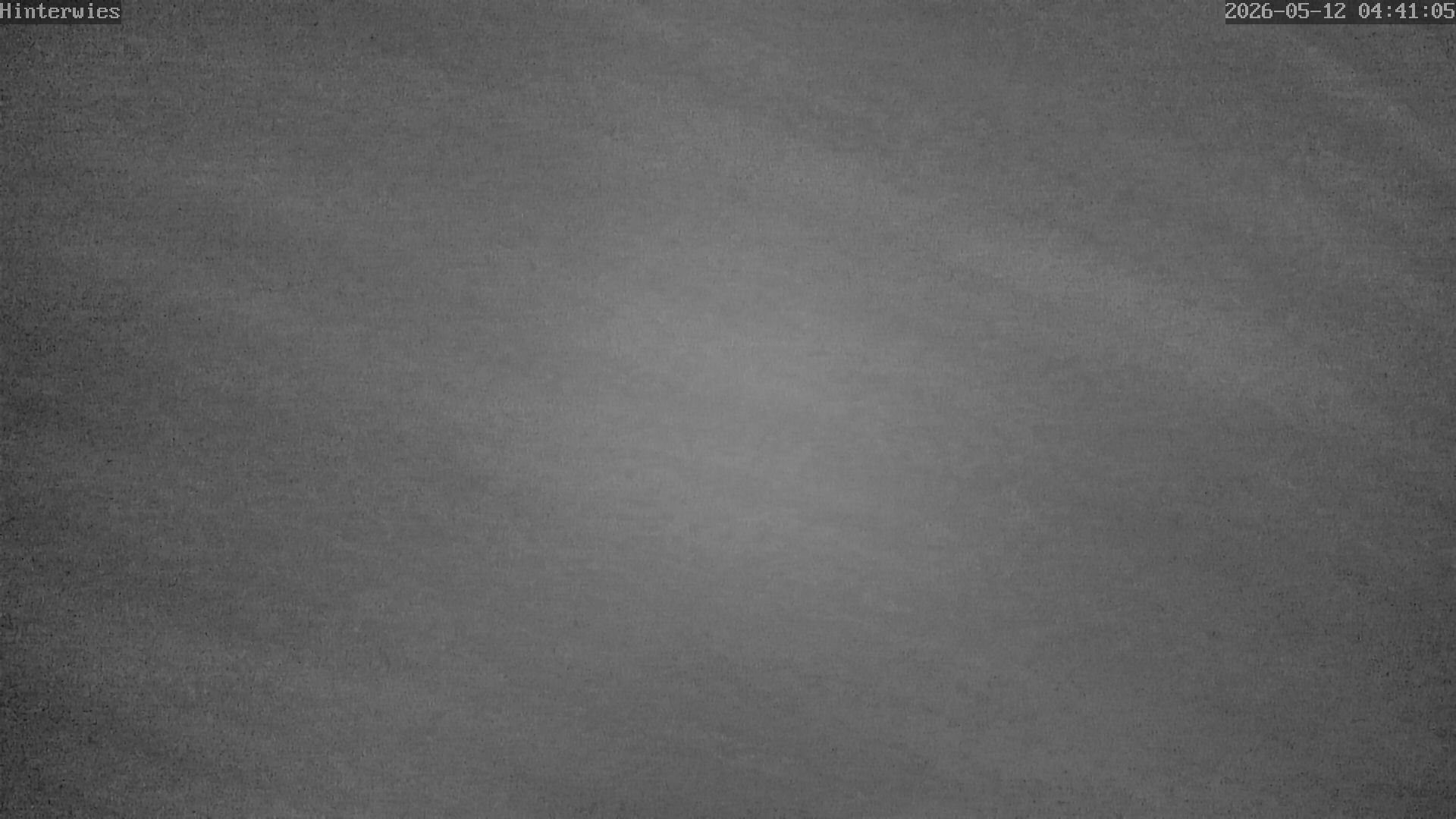 Archiv Foto Webcam Wetterstation Sankt Englmar-Hinterwies