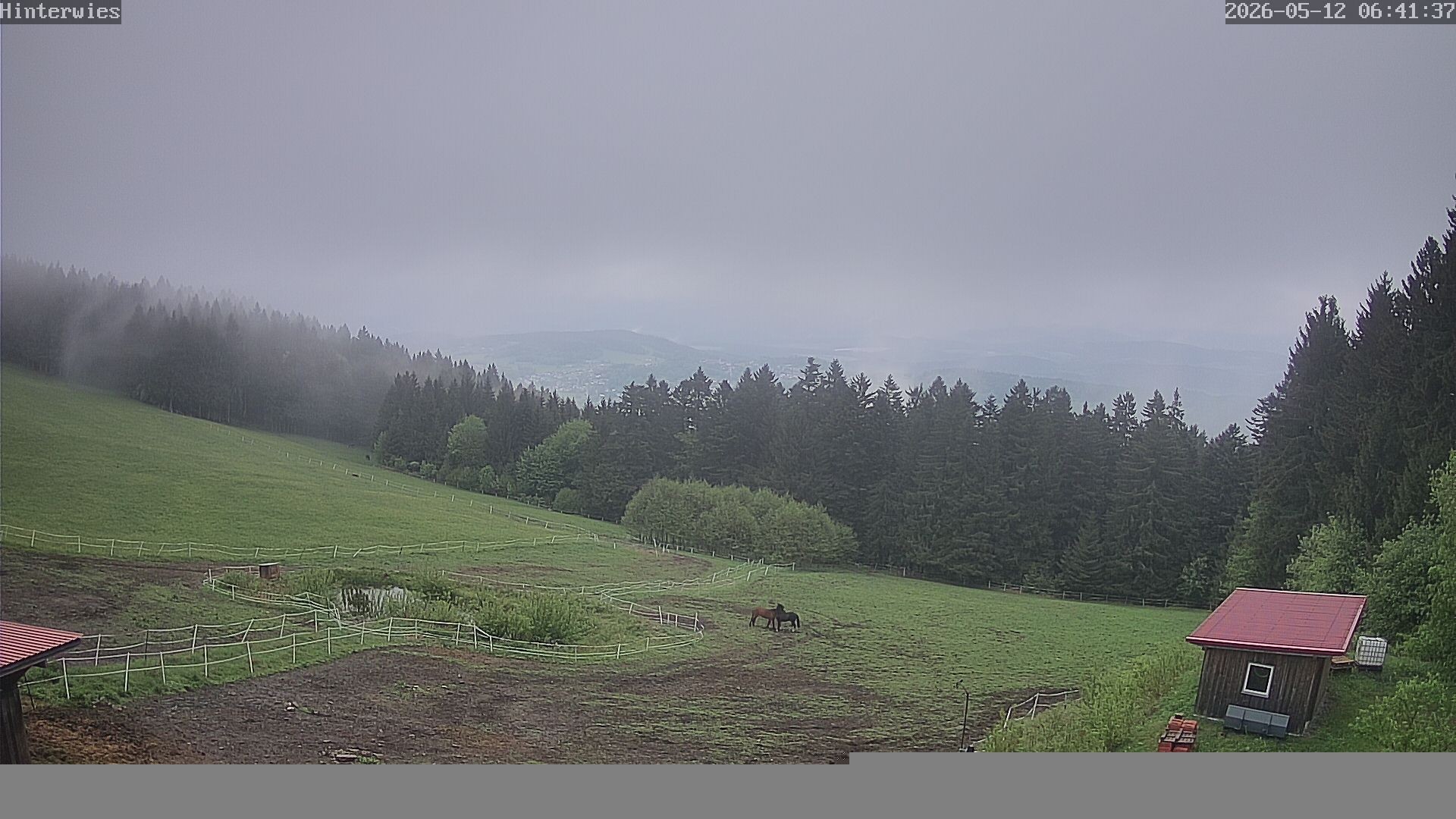 Archiv Foto Webcam Wetterstation Sankt Englmar-Hinterwies