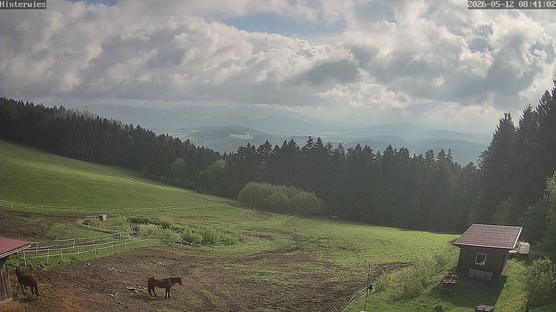 Archiv Foto Webcam Wetterstation Sankt Englmar-Hinterwies