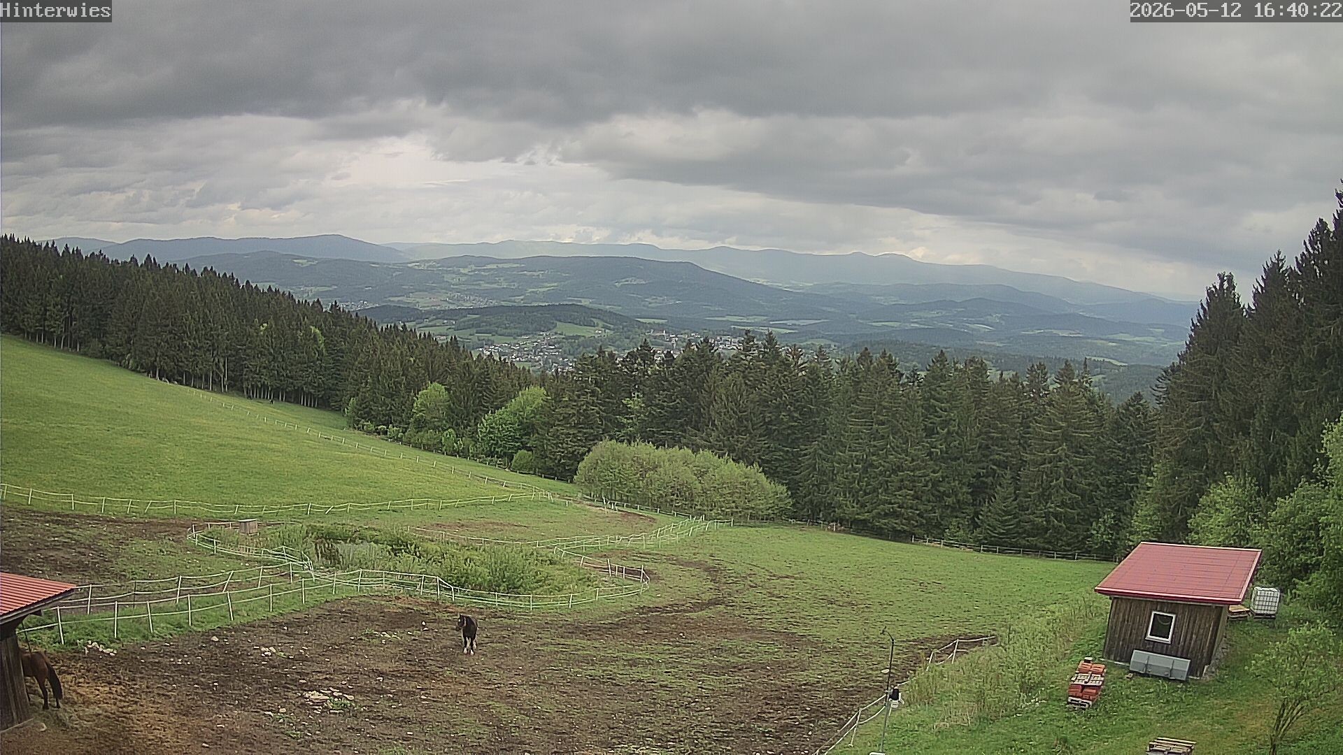 Archiv Foto Webcam Wetterstation Sankt Englmar-Hinterwies