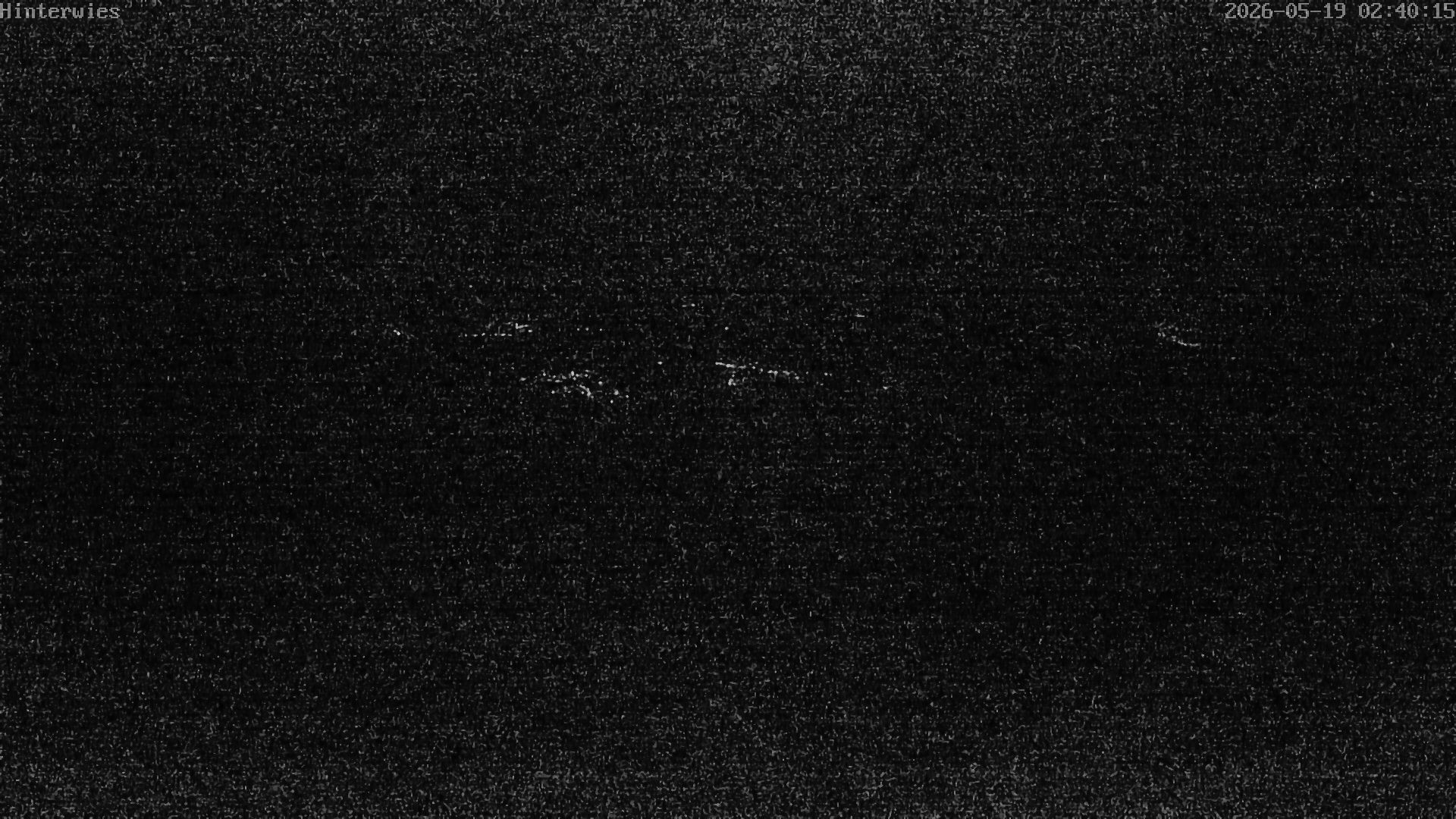 Archiv Foto Webcam Wetterstation Sankt Englmar-Hinterwies