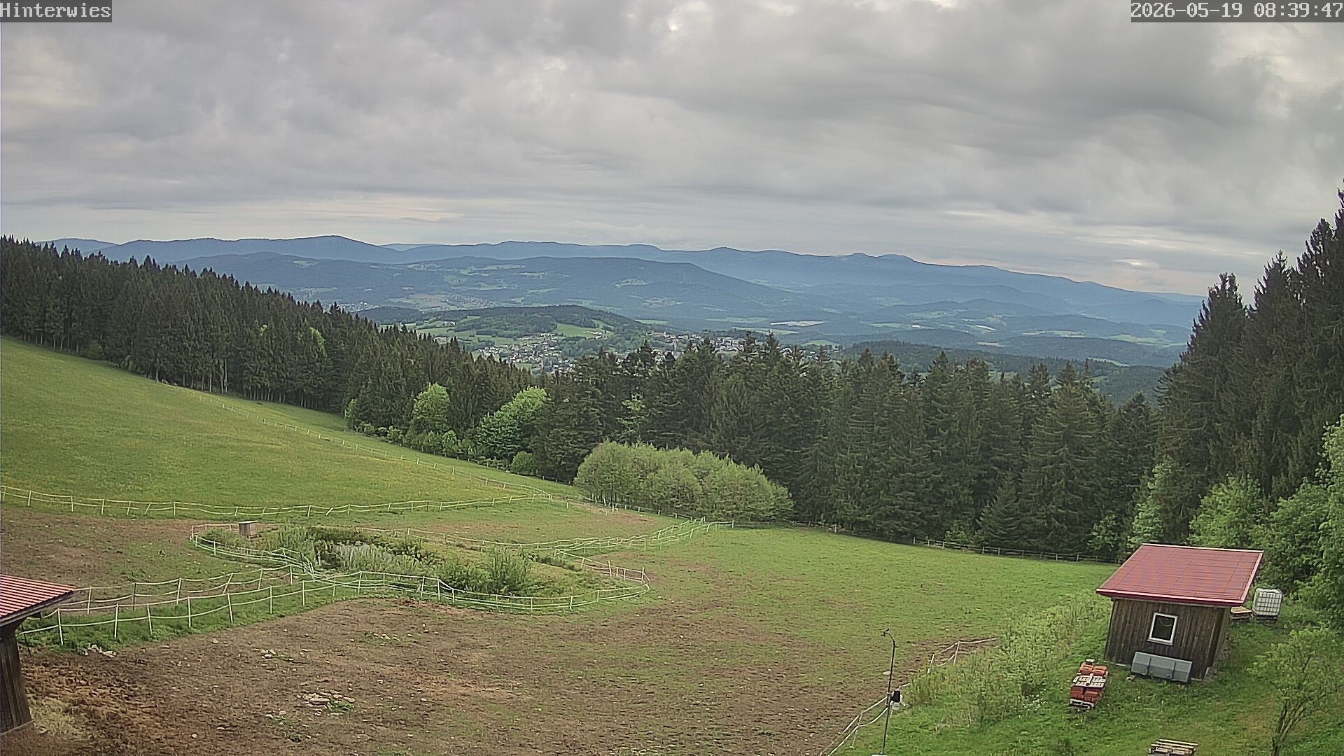 Archiv Foto Webcam Wetterstation Sankt Englmar-Hinterwies