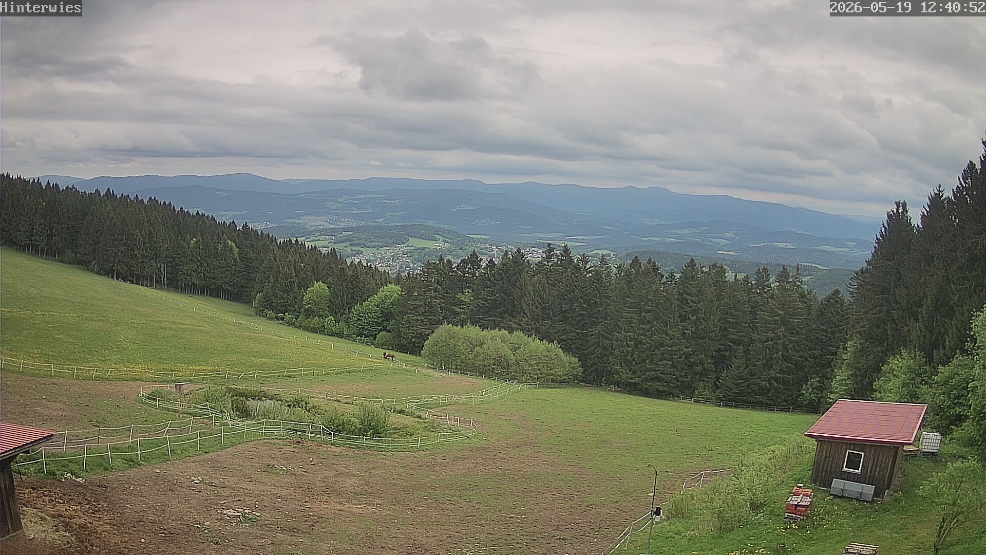 Archiv Foto Webcam Wetterstation Sankt Englmar-Hinterwies