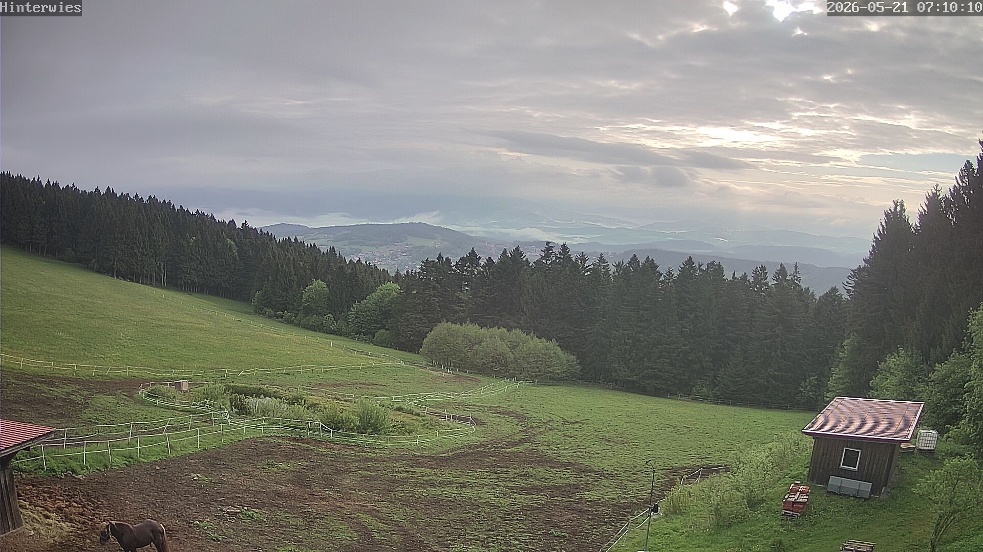 Archived image Webcam Weather Station St. Englmar-Hinterwies