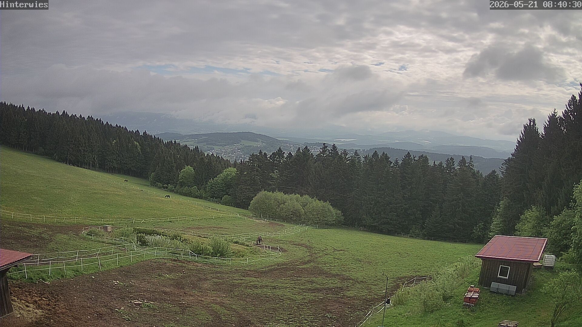 Archived image Webcam Weather Station St. Englmar-Hinterwies