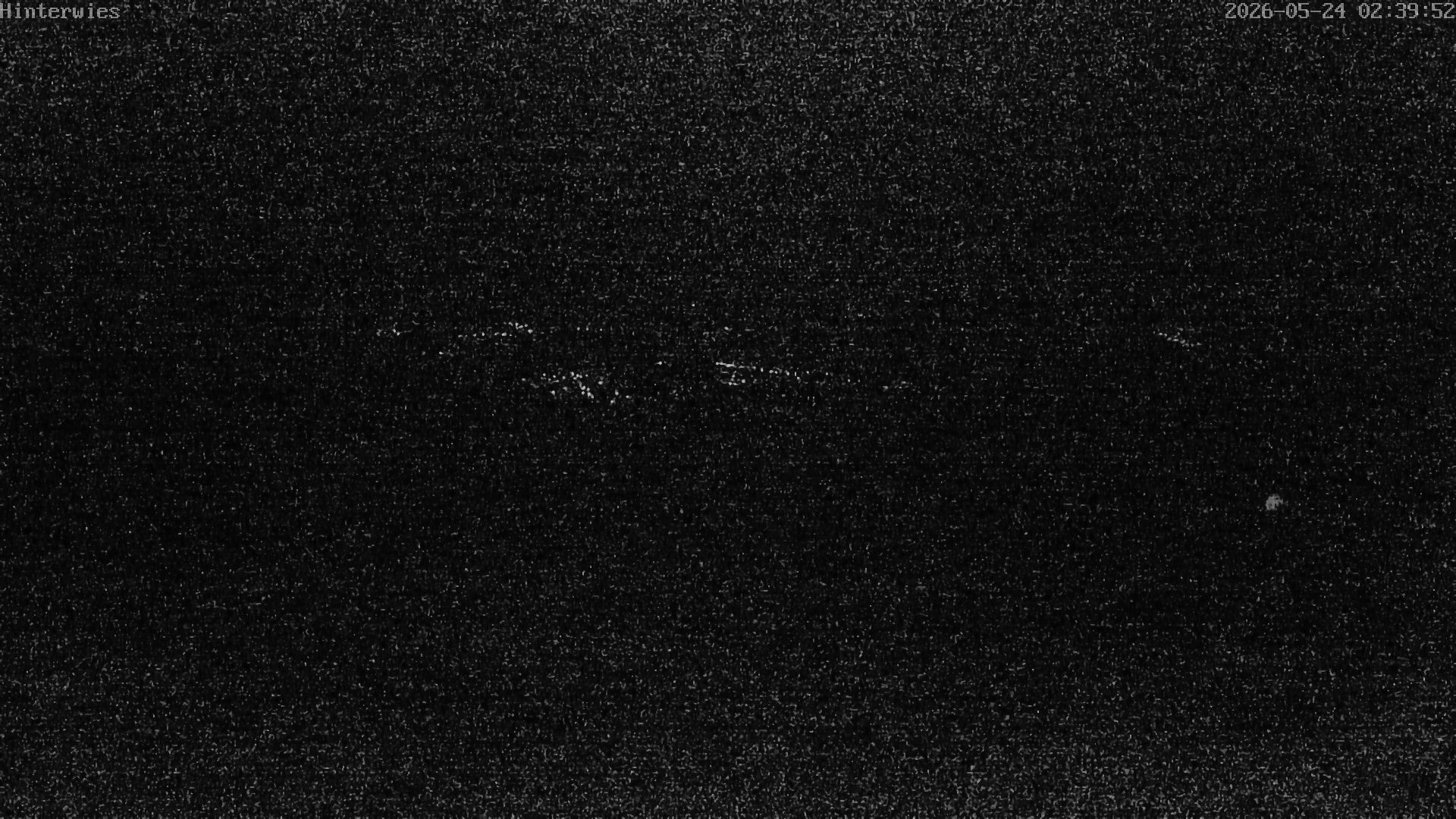Archiv Foto Webcam Wetterstation Sankt Englmar-Hinterwies