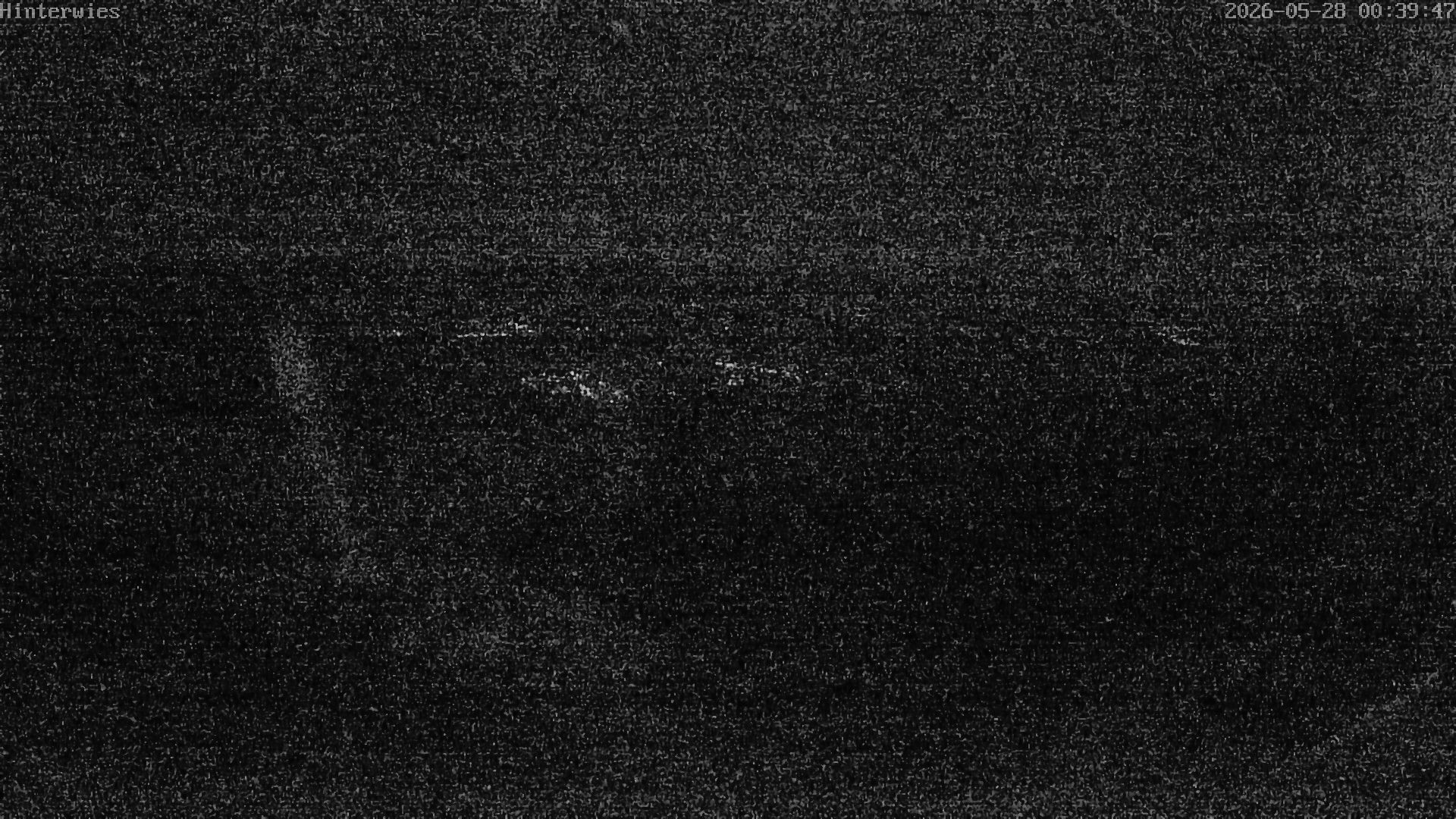 Archiv Foto Webcam Wetterstation Sankt Englmar-Hinterwies