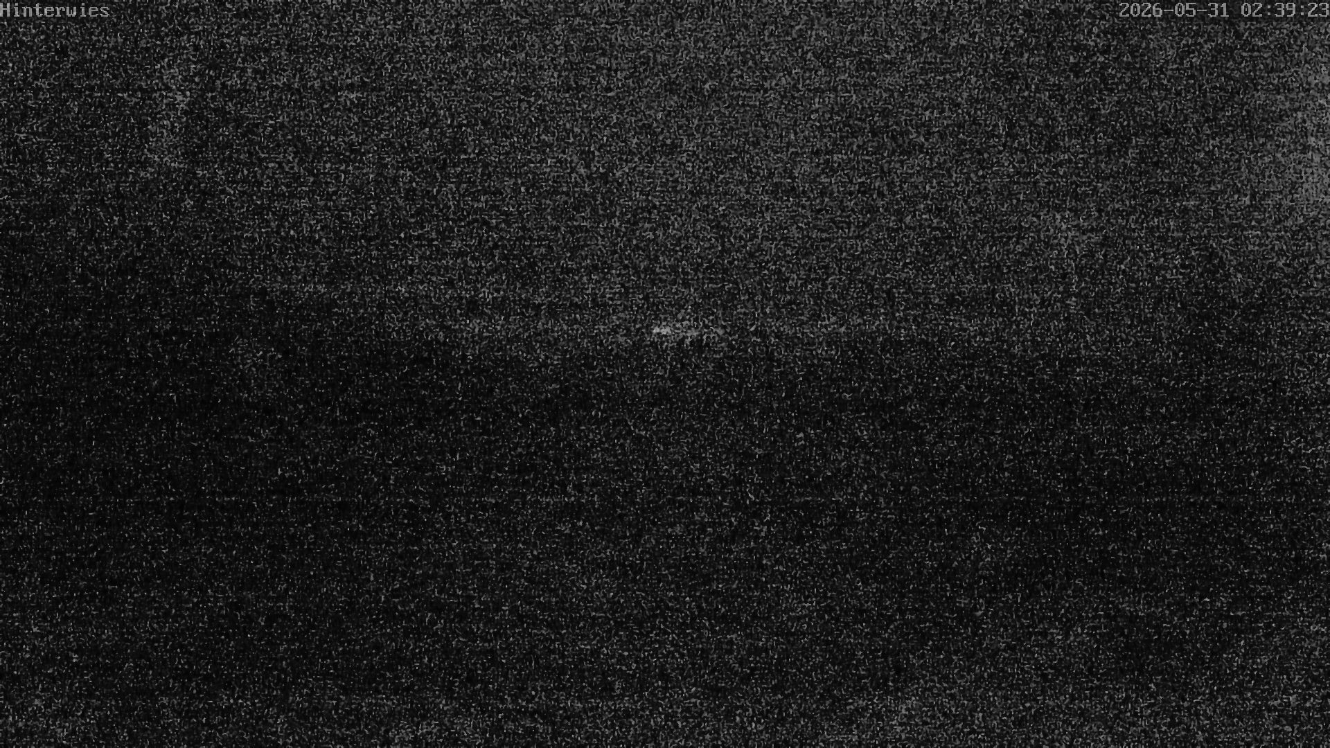 Archiv Foto Webcam Wetterstation Sankt Englmar-Hinterwies