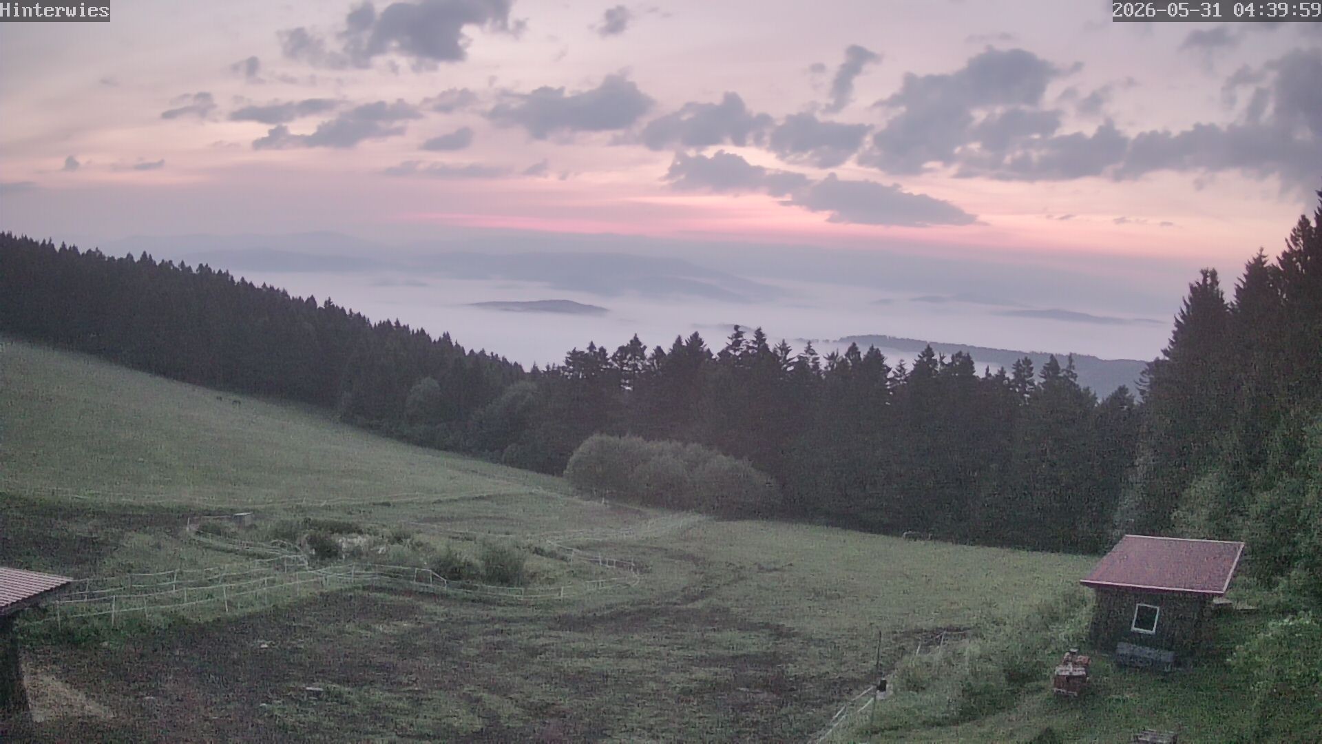 Archived image Webcam Weather Station St. Englmar-Hinterwies
