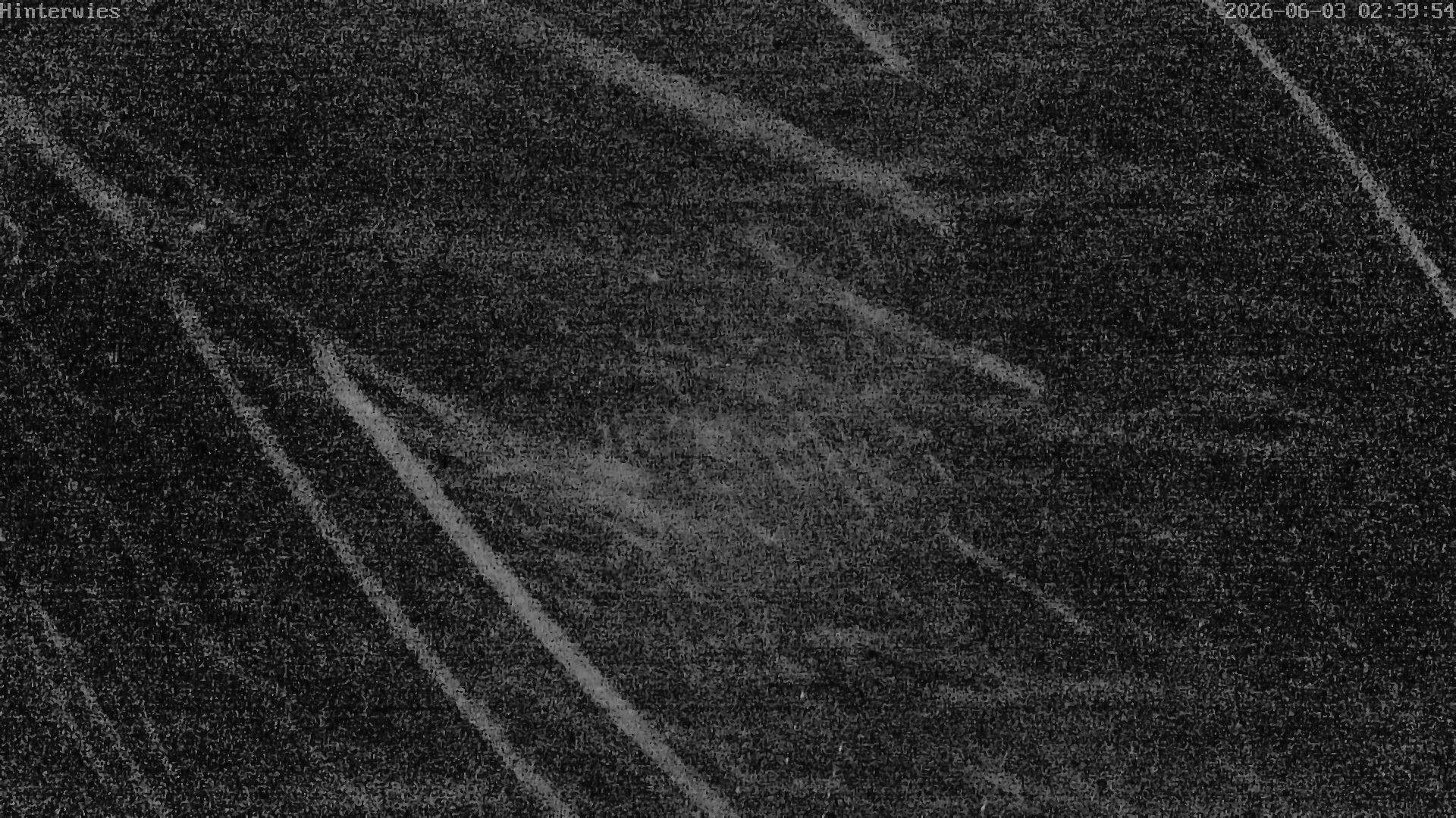 Archiv Foto Webcam Wetterstation Sankt Englmar-Hinterwies
