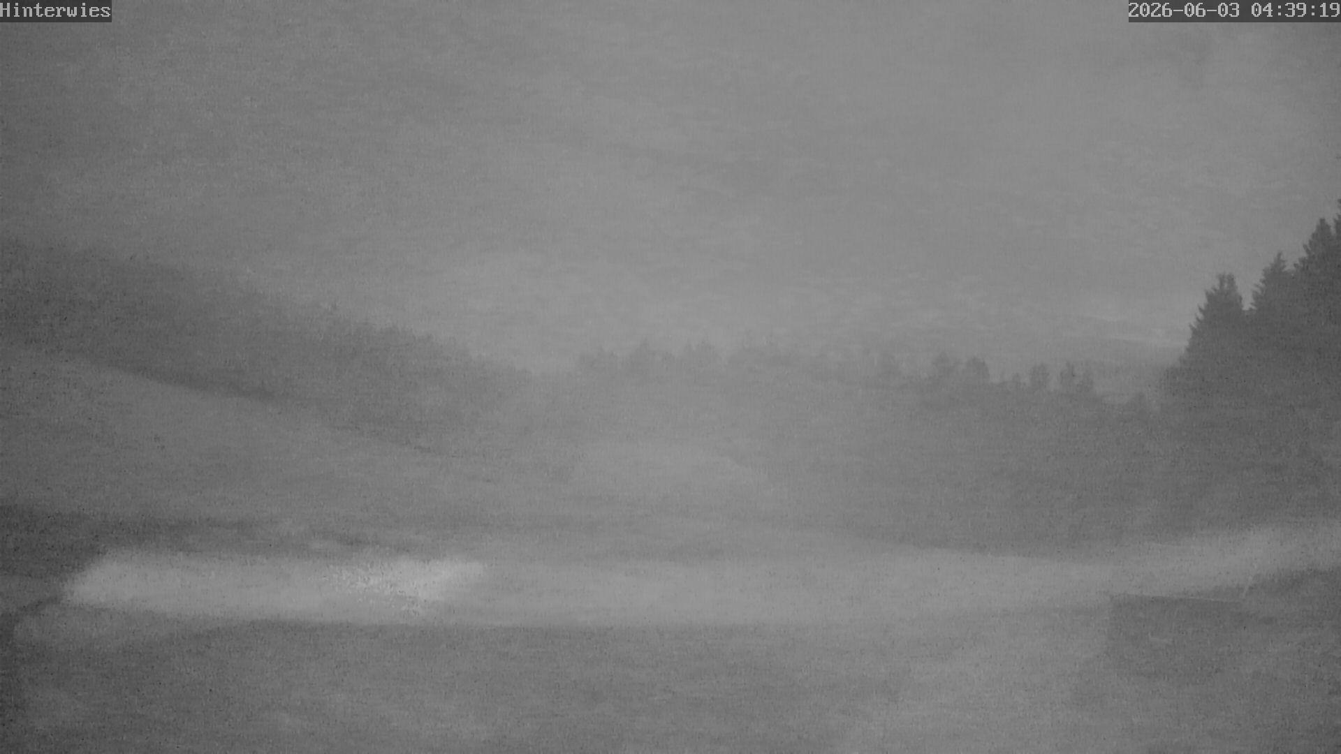Archiv Foto Webcam Wetterstation Sankt Englmar-Hinterwies
