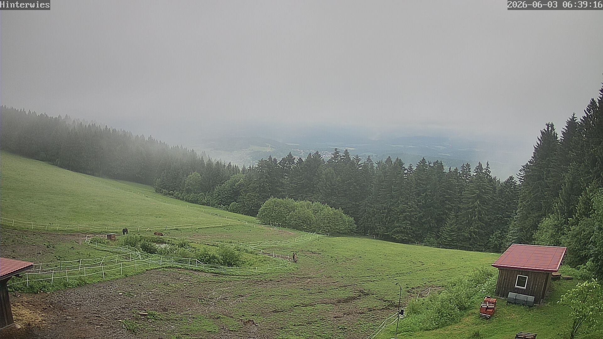 Archiv Foto Webcam Wetterstation Sankt Englmar-Hinterwies