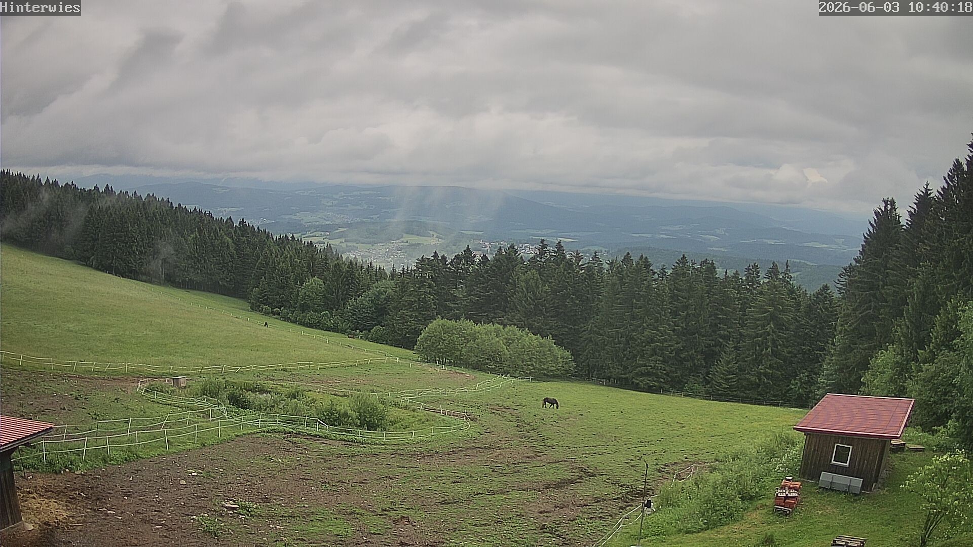 Archiv Foto Webcam Wetterstation Sankt Englmar-Hinterwies