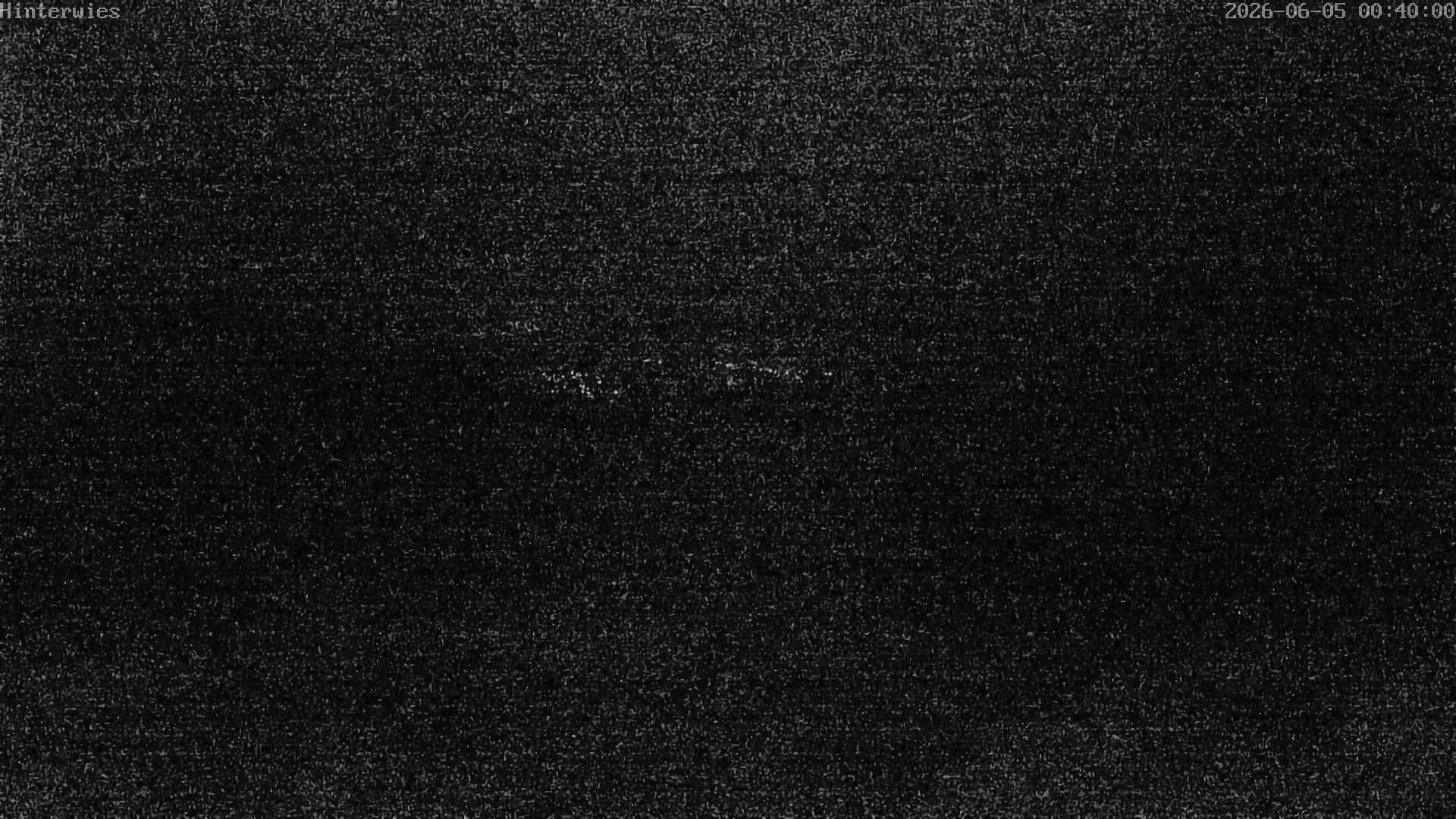 Archiv Foto Webcam Wetterstation Sankt Englmar-Hinterwies