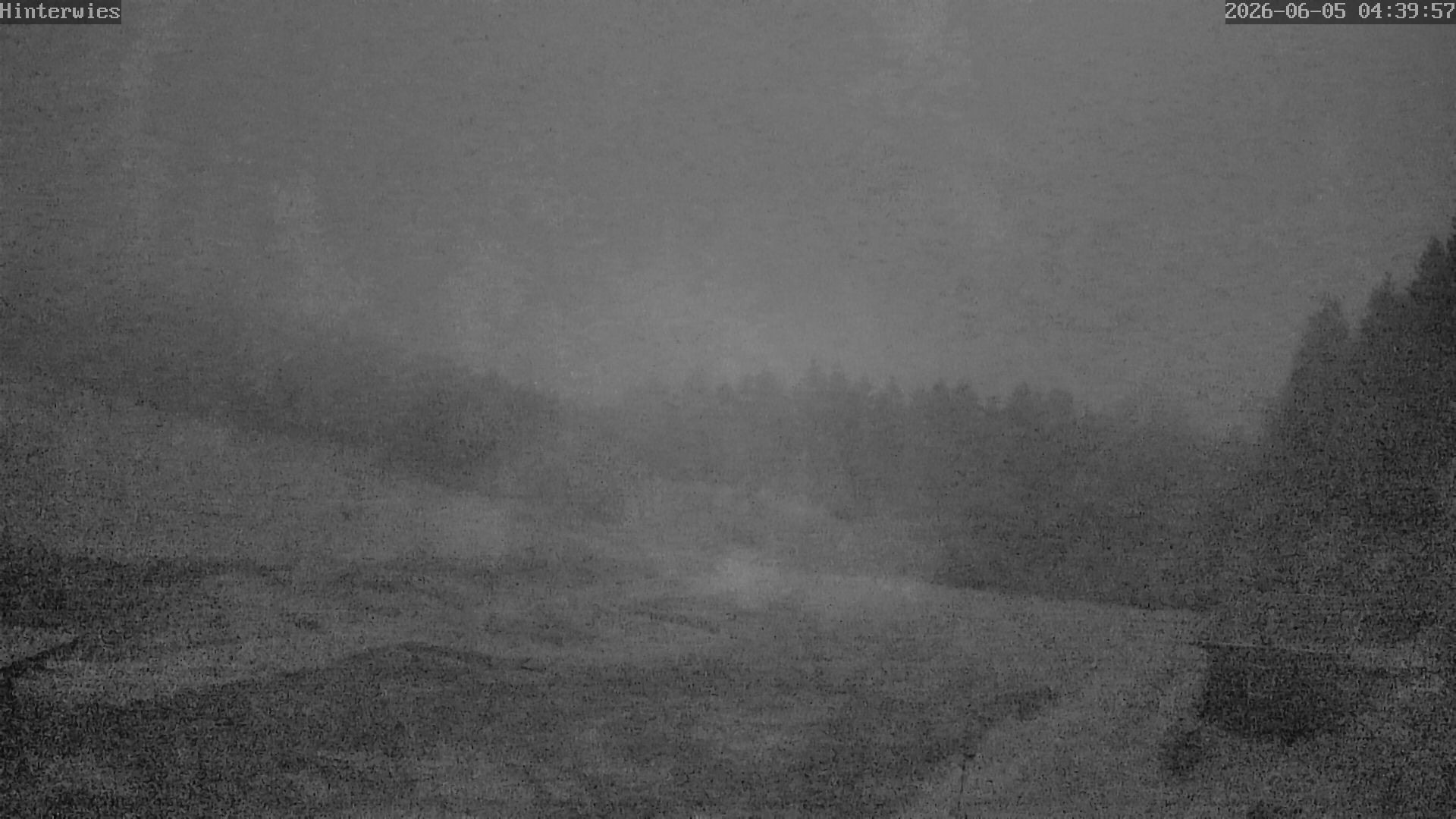 Archiv Foto Webcam Wetterstation Sankt Englmar-Hinterwies