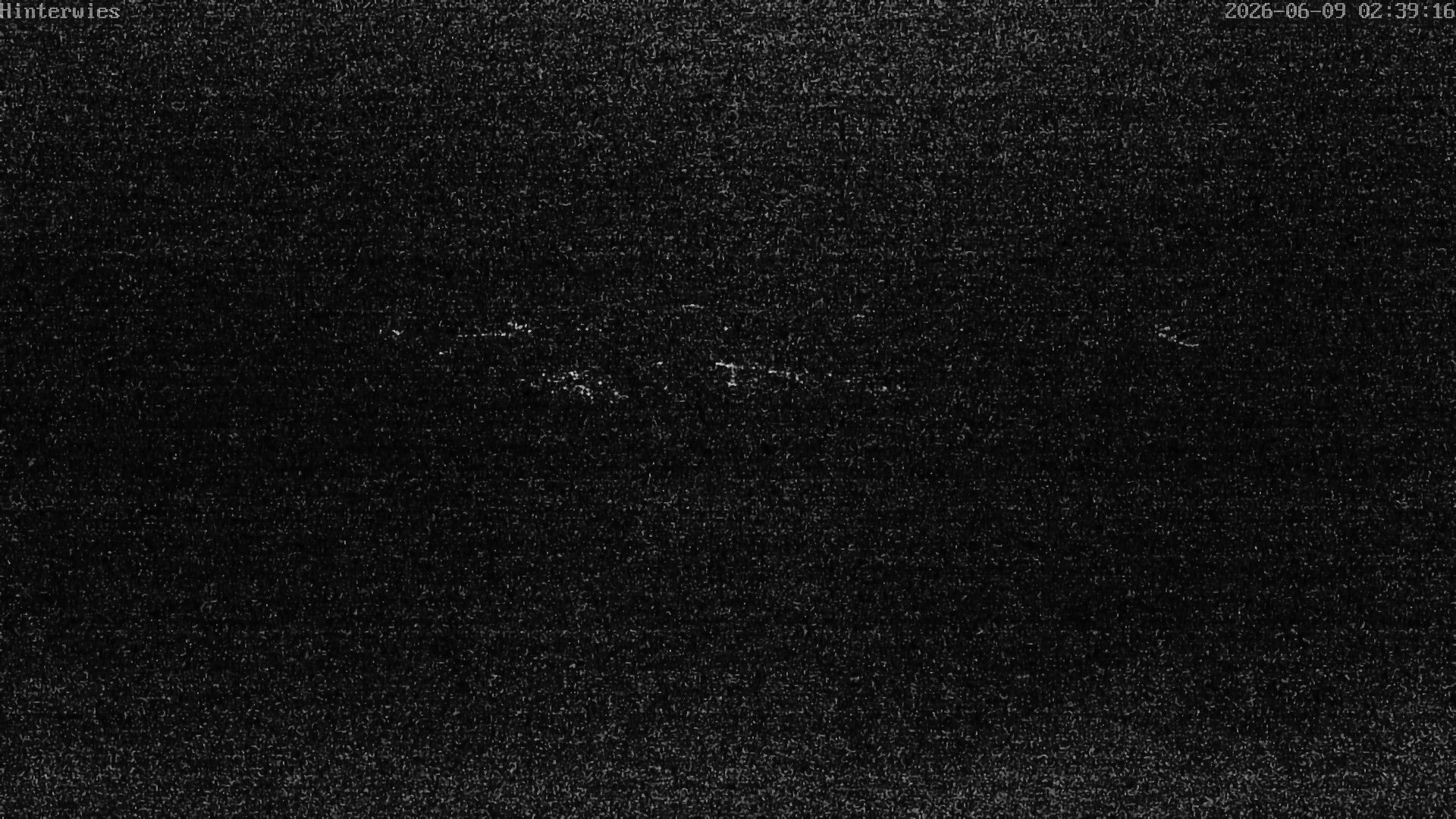 Archiv Foto Webcam Wetterstation Sankt Englmar-Hinterwies
